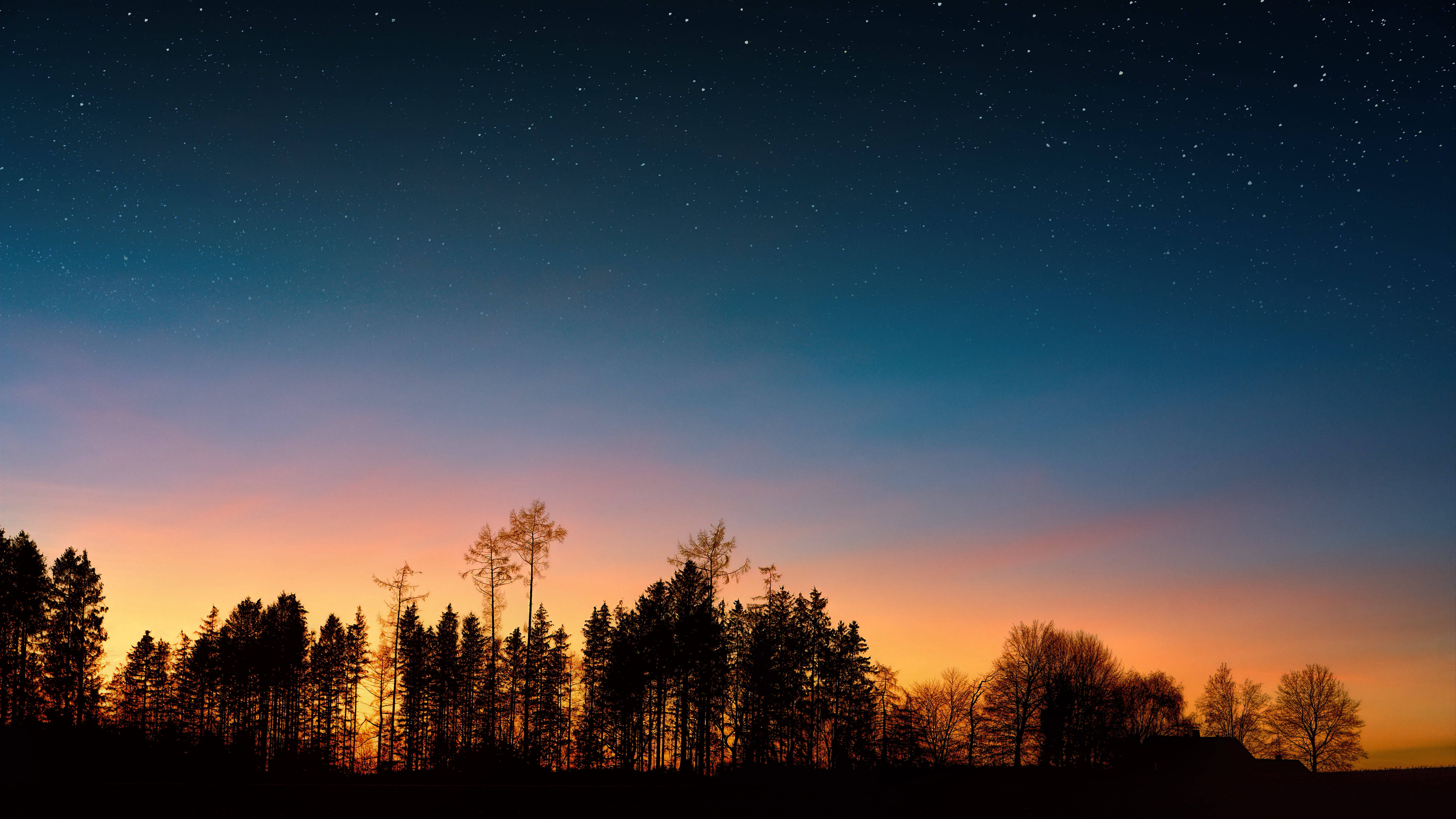 Starry Sunset Forest Professional Desktop Wallpaper