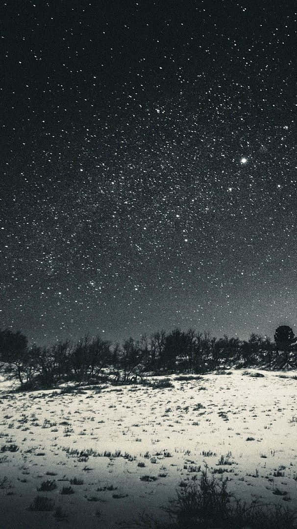 Starry Winter Night_ Snowscape.jpg Wallpaper