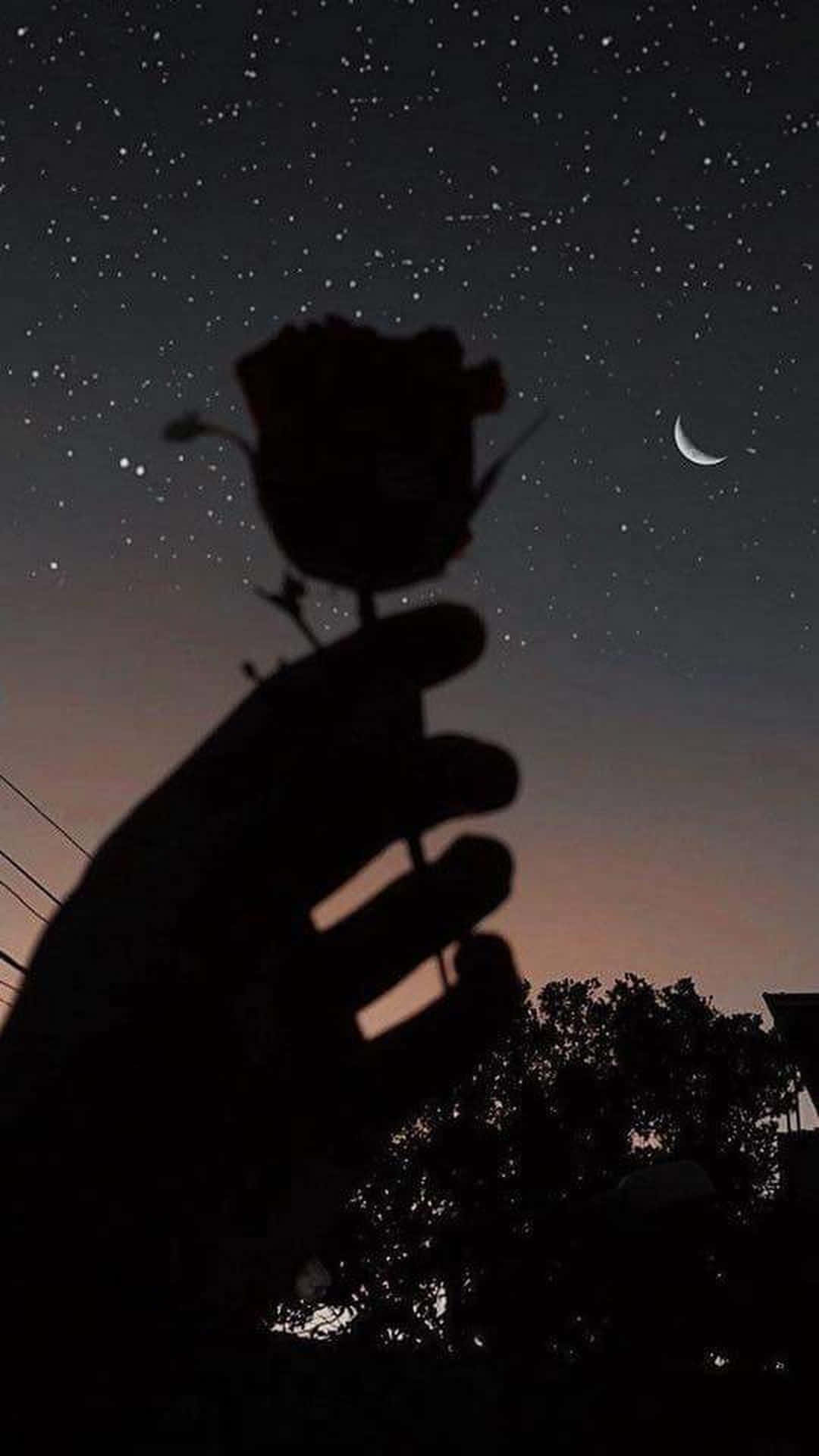 Einehand Hält Eine Rose Im Himmel Mit Mond Und Sternen. Wallpaper