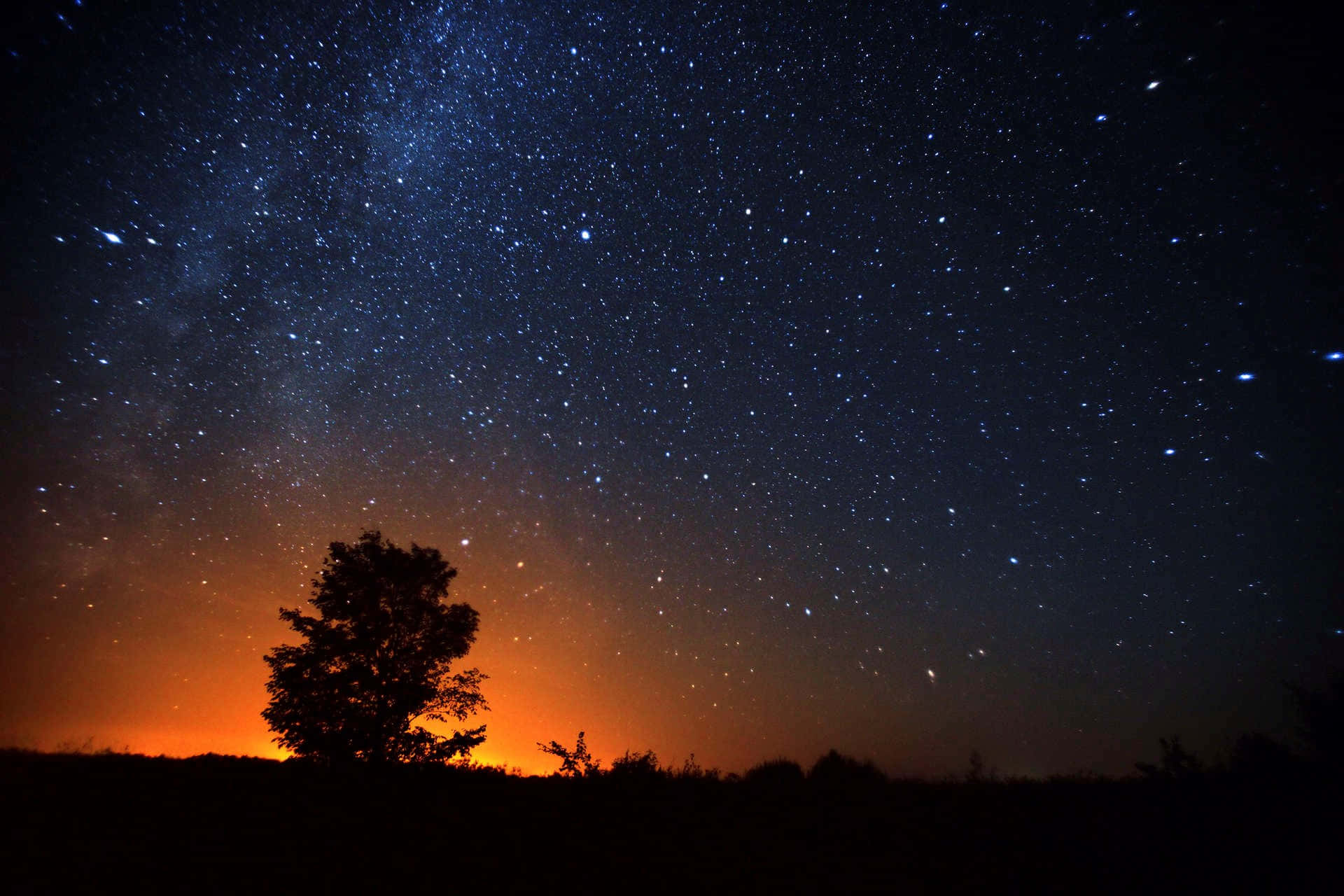 En træ er i midten af den natlige himmel Wallpaper