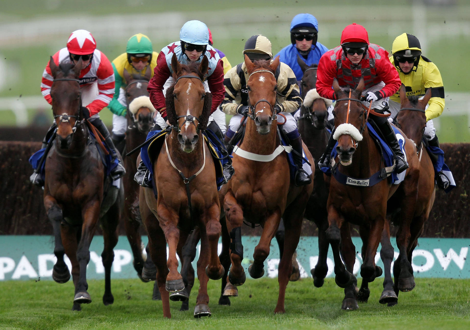 Horse Racing Stock Photos, Images and Backgrounds for Free Download