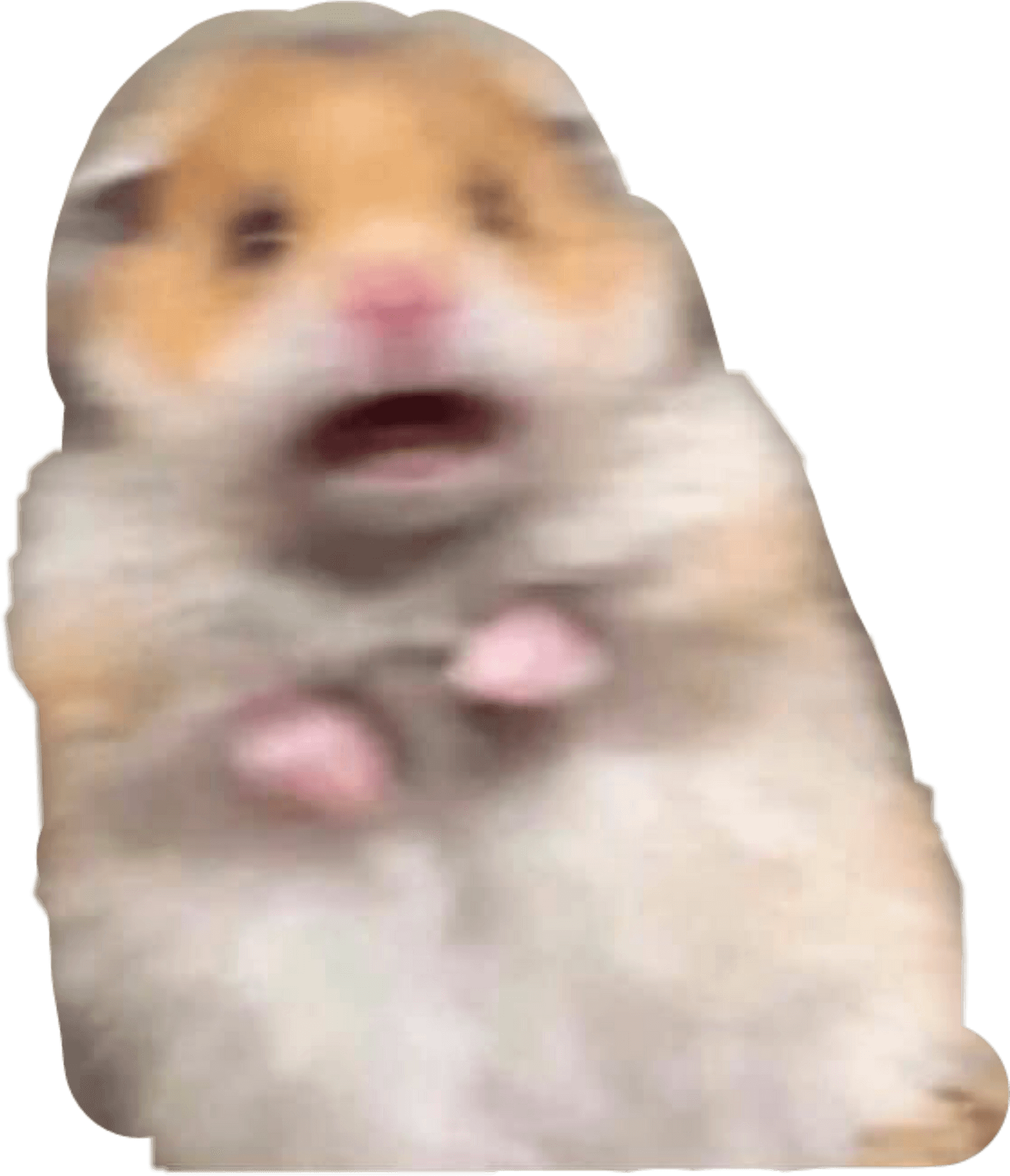 Startled Hamster Moment PNG