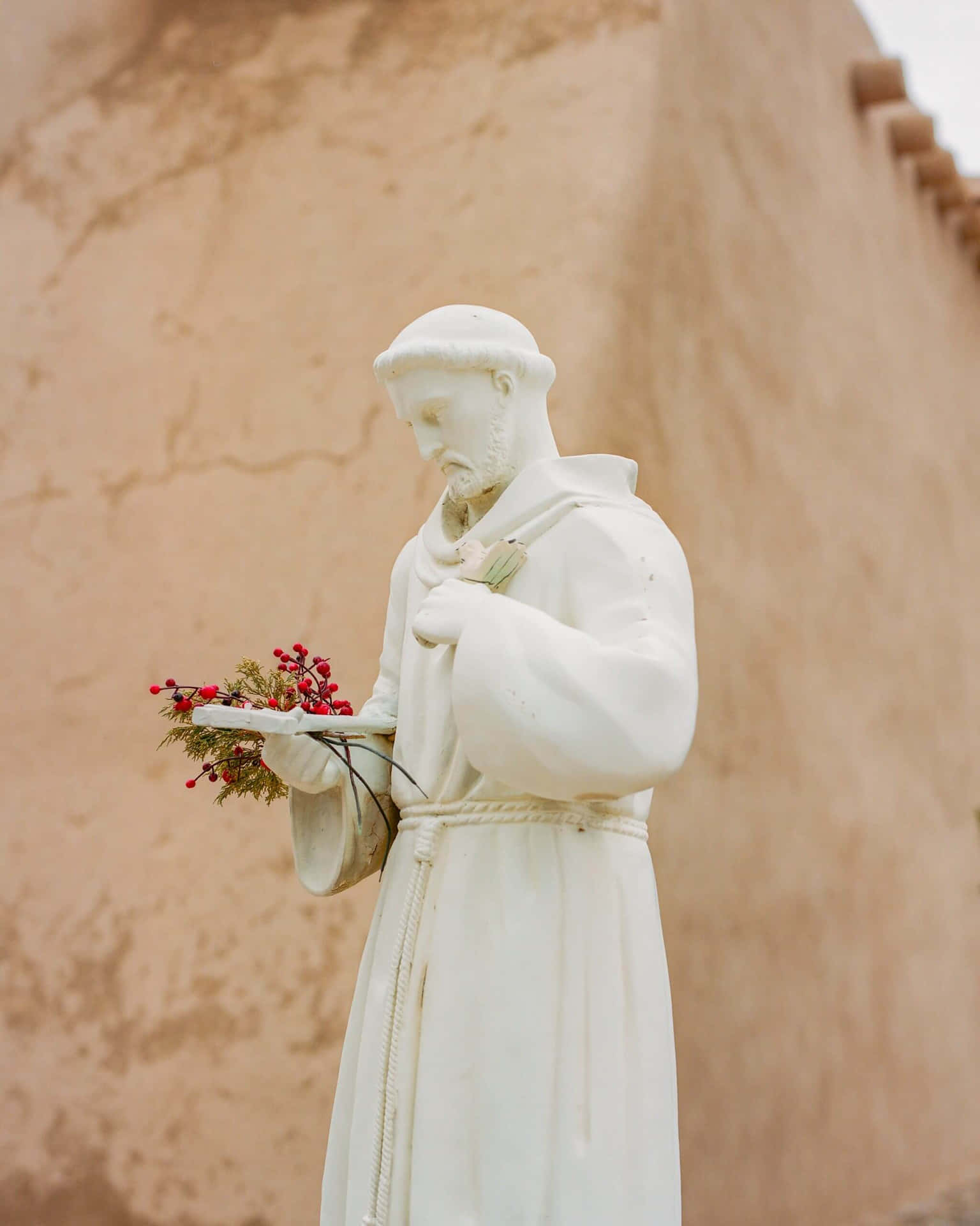 Standbeeld Van St. Franciscus Met Bloemen Achtergrond