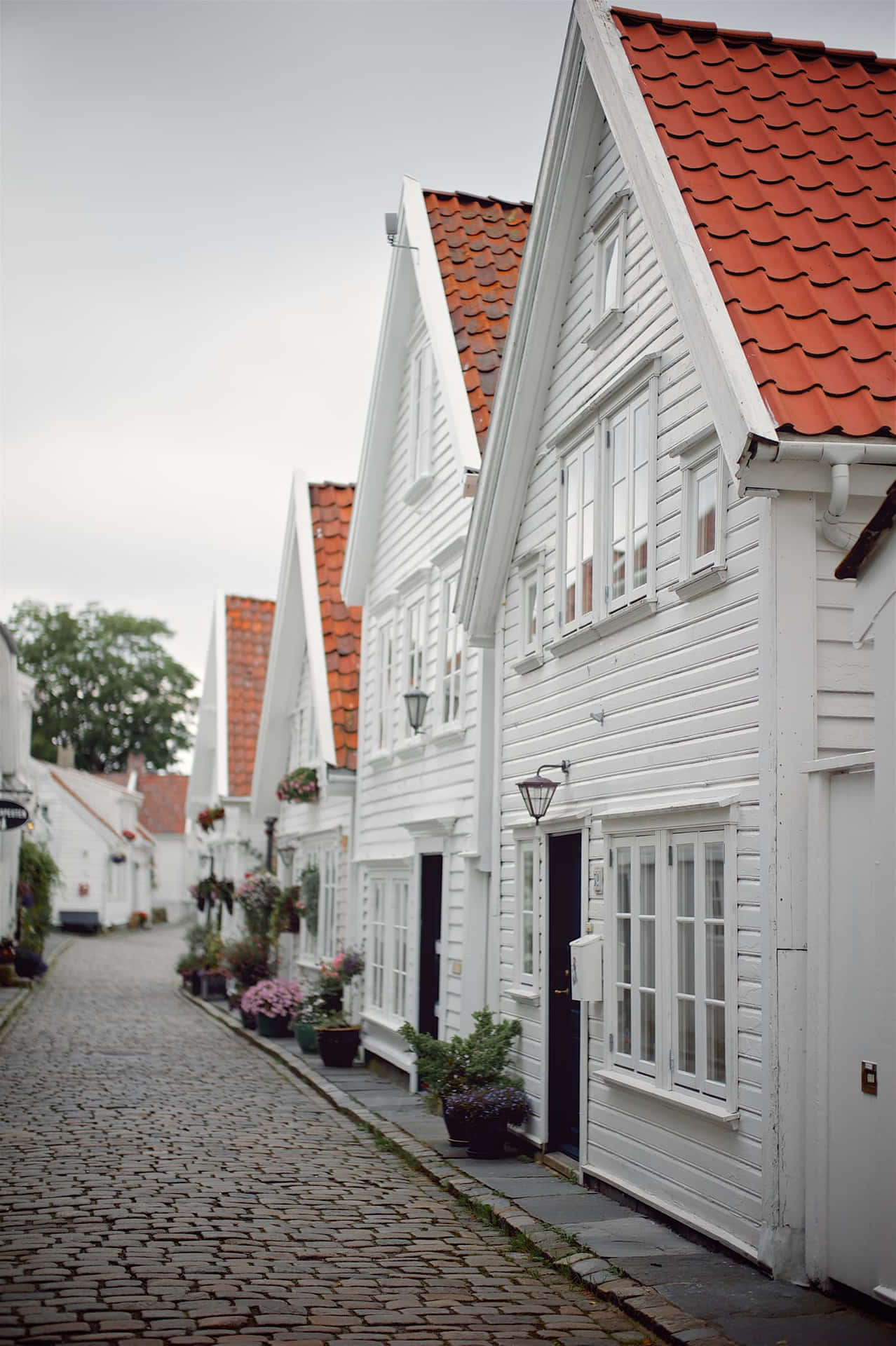 Stavanger Traditional Norwegian Houses Wallpaper