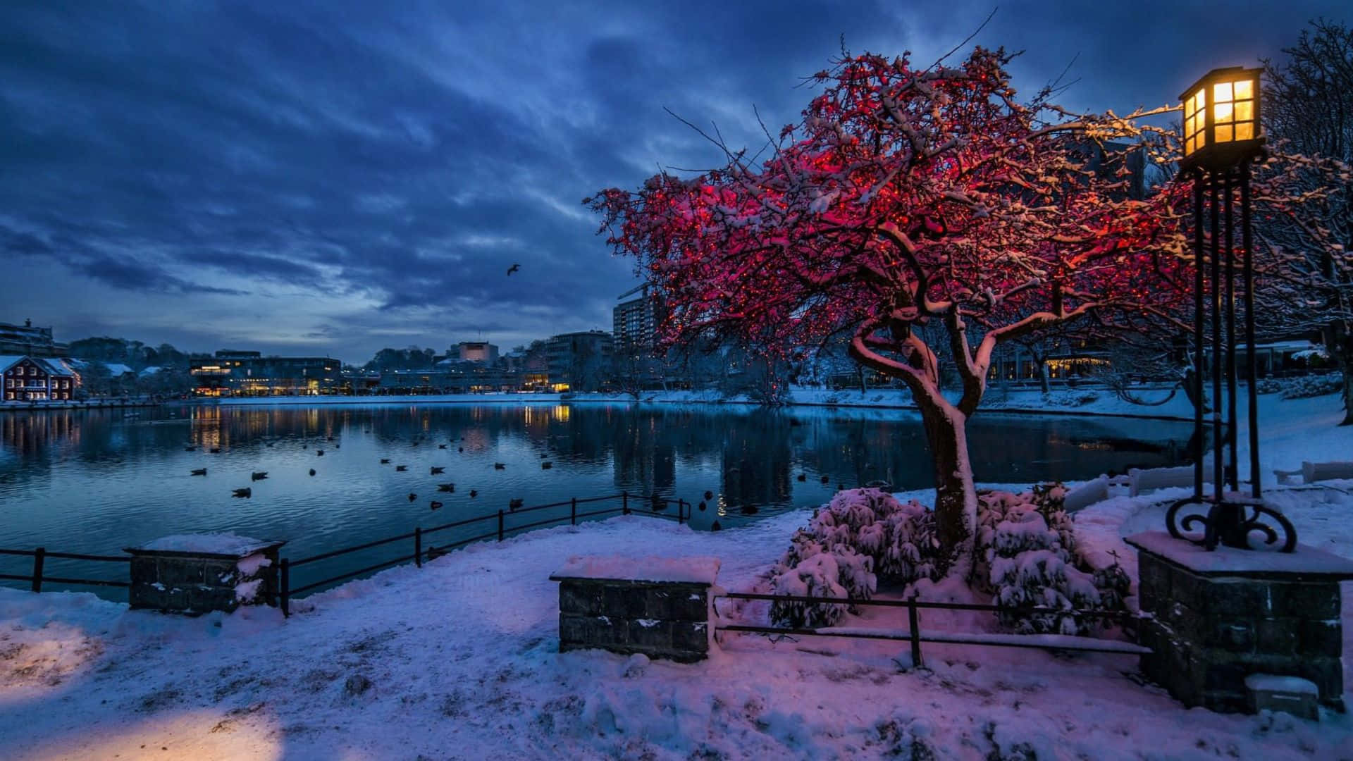 Stavanger Winter Twilight Landscape Wallpaper