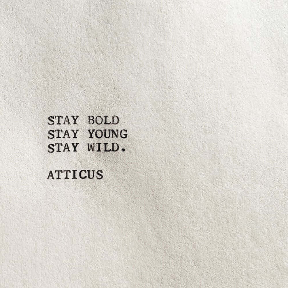 Stay Bold Young Wild Quote Atticus Wallpaper