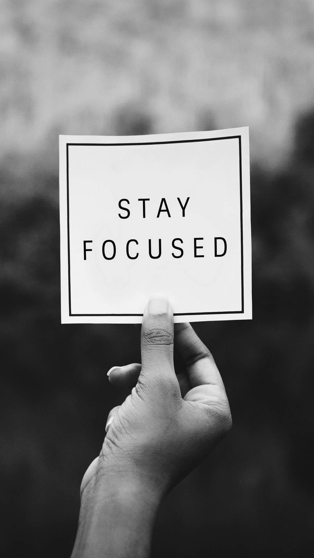 Stay Focused Android Phone