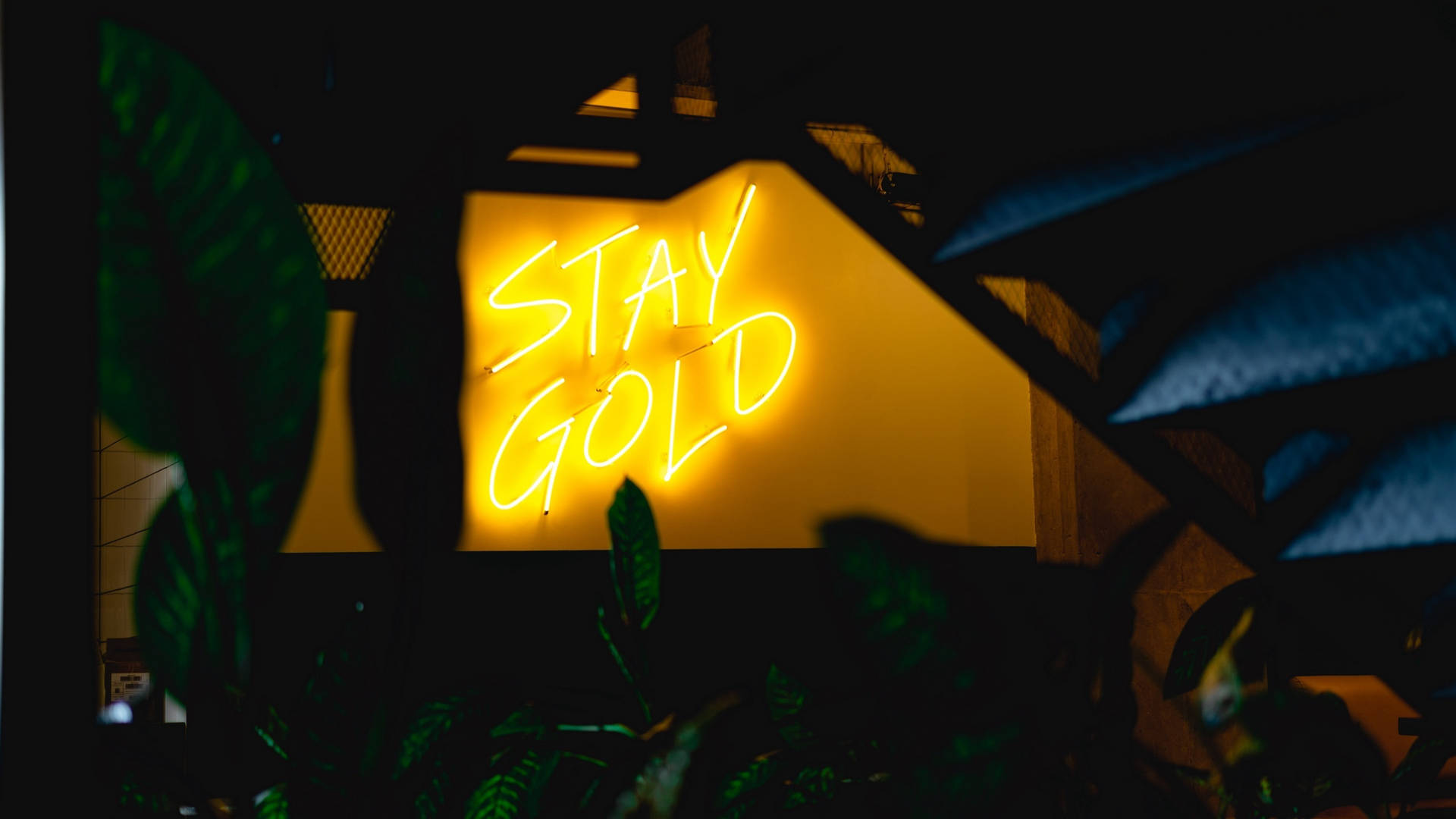 Stay Gold Signage Neon Yellow Led Wallpaper