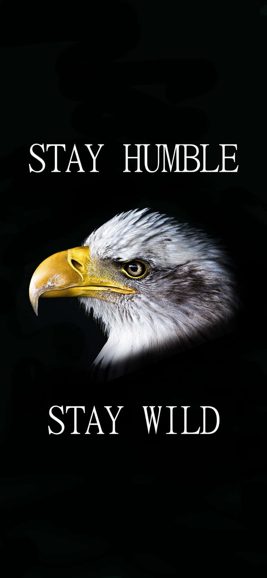 Stay Humble And Wild Wallpaper