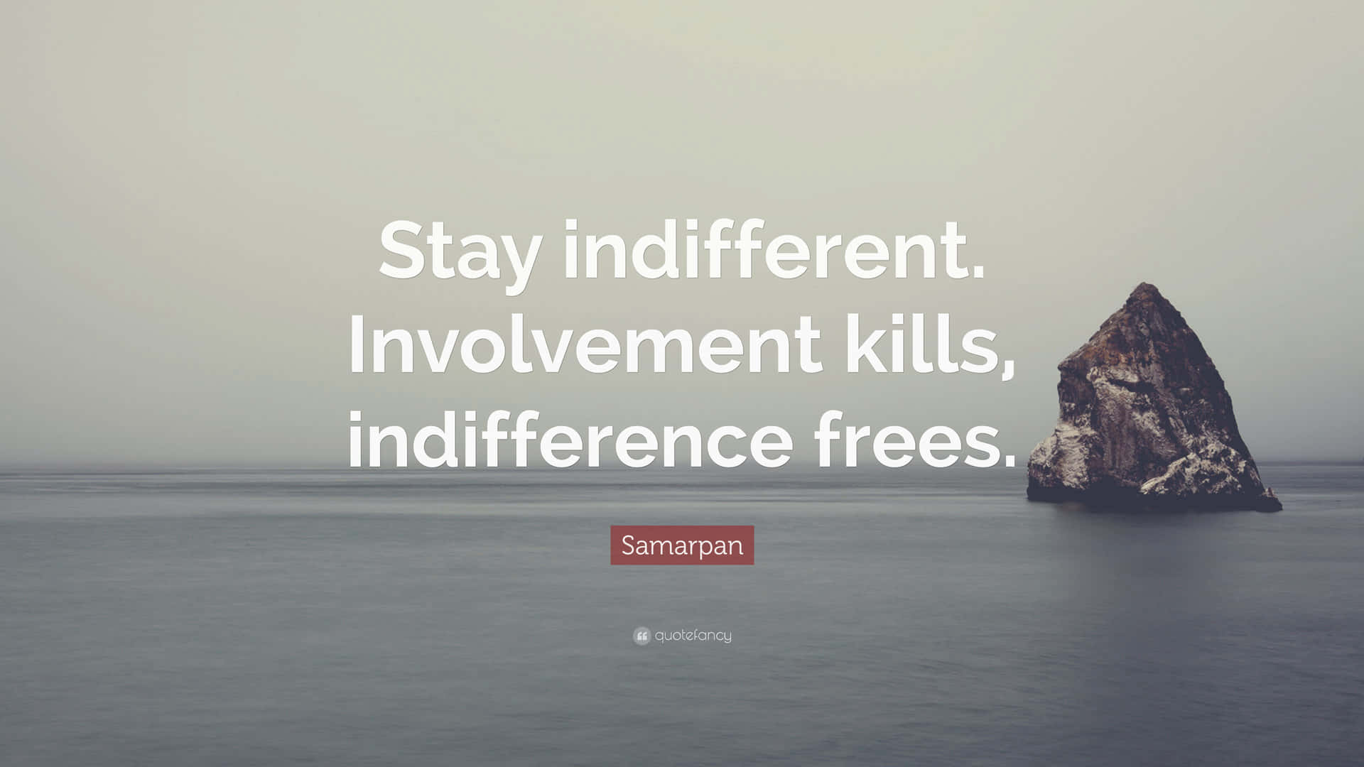 Stay Indifferent Wallpaper