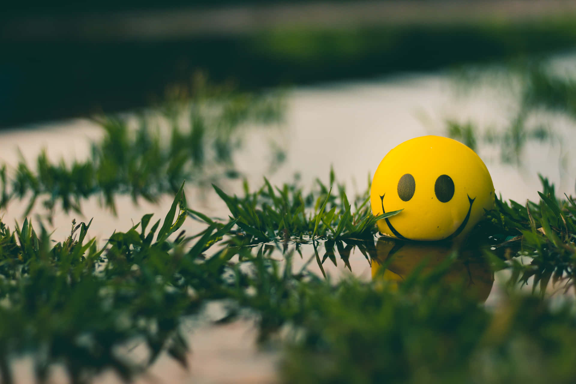 A Yellow Smiley Face Sitting In The Grass Wallpaper