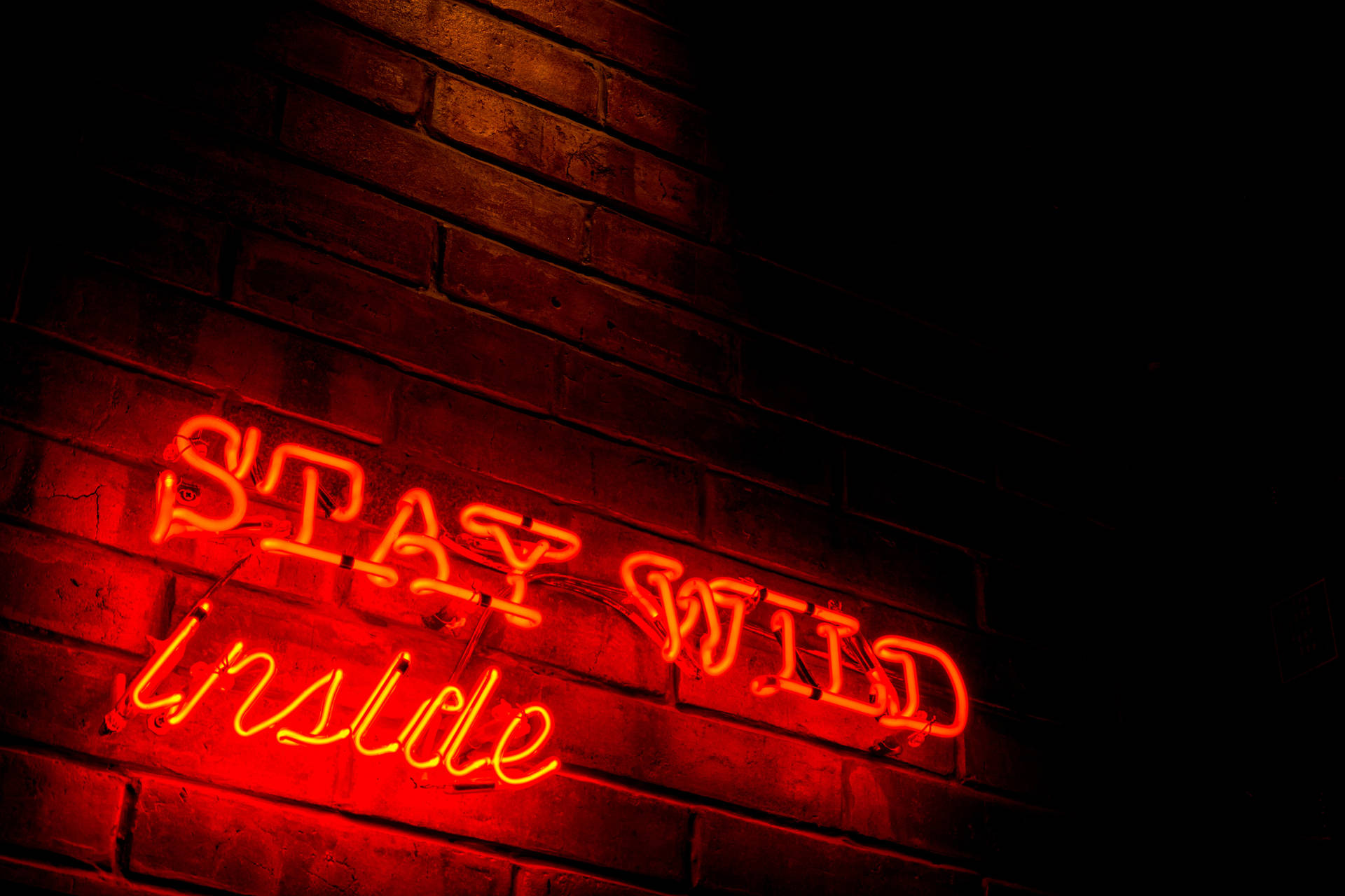 Stay Wild Inside Neon Sign Wallpaper