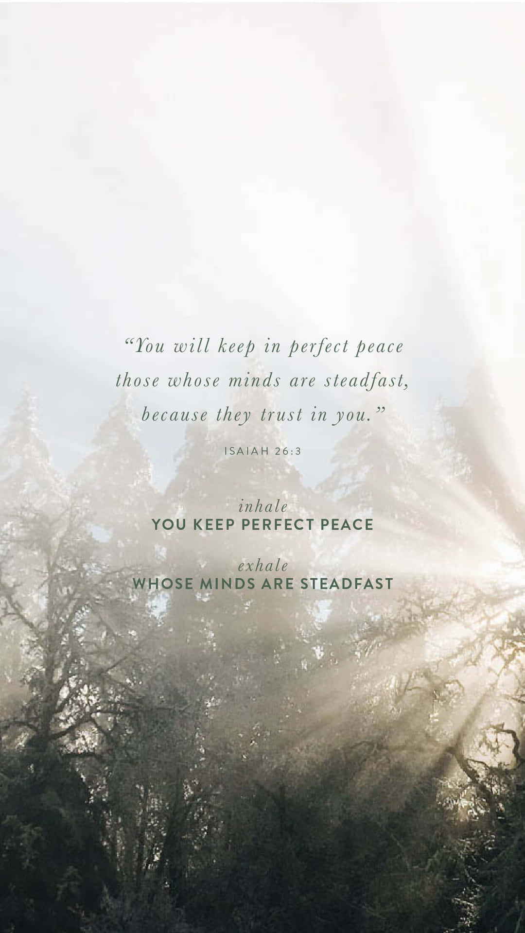Steadfast Mind Peace Quote Forest Wallpaper