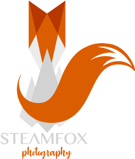 Steam Fox Photography Logo PNG