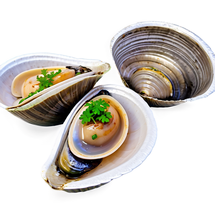 Steamed Clam Delicacy Png Wam PNG