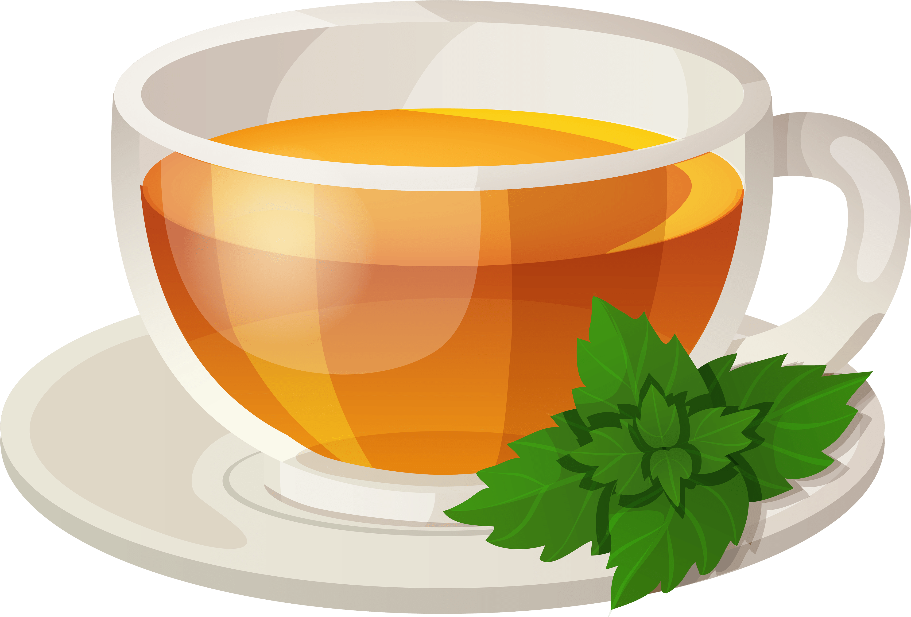 Steaming Green Tea Cup Vector PNG