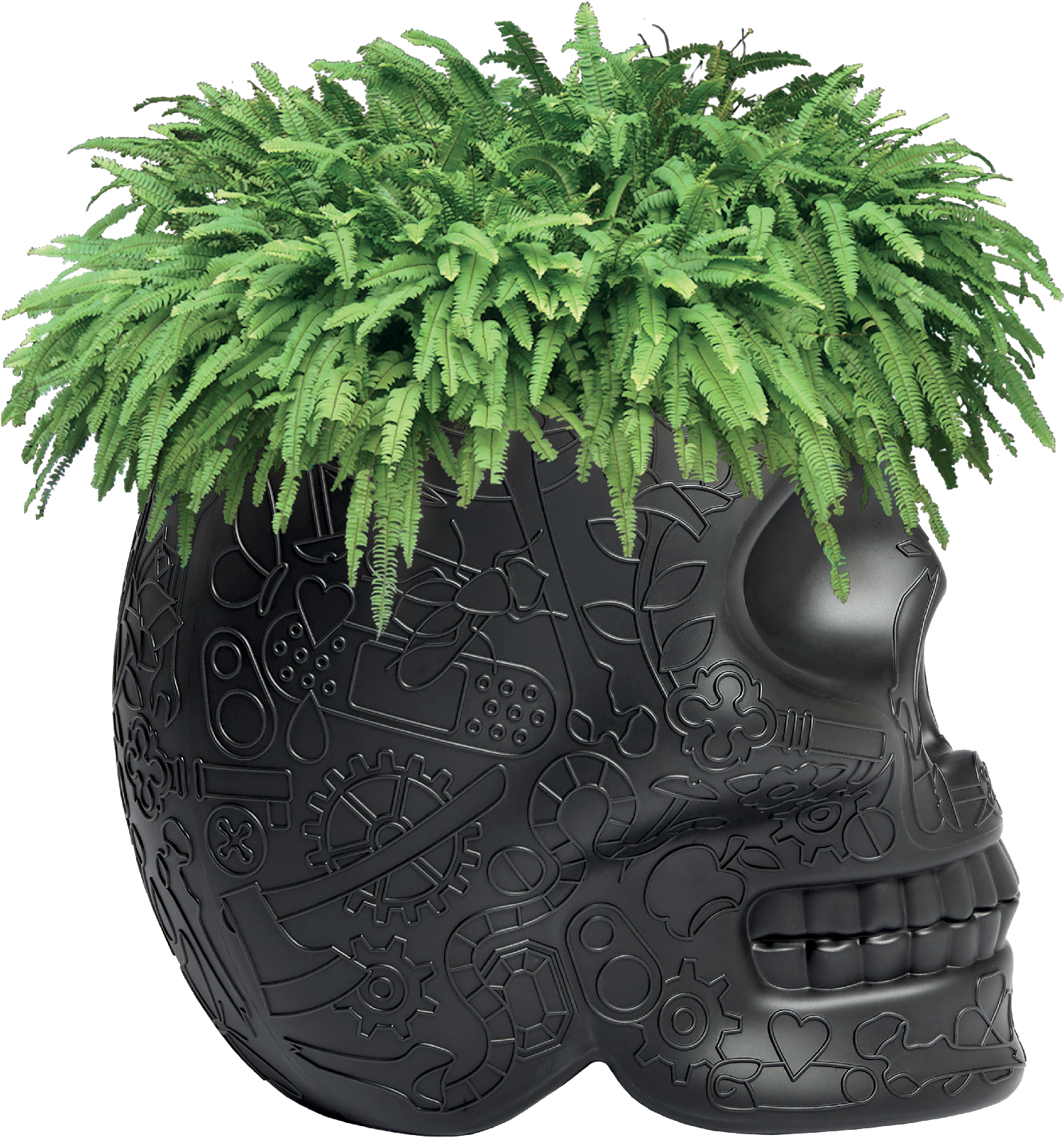 Steampunk Skull Planterwith Ferns PNG