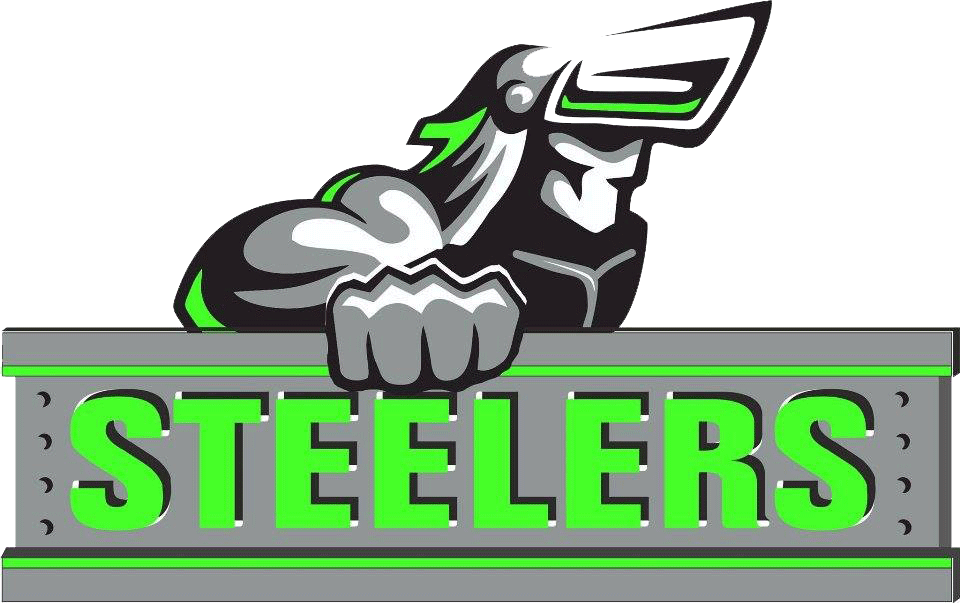 Steelers Bird Mascot Logo PNG