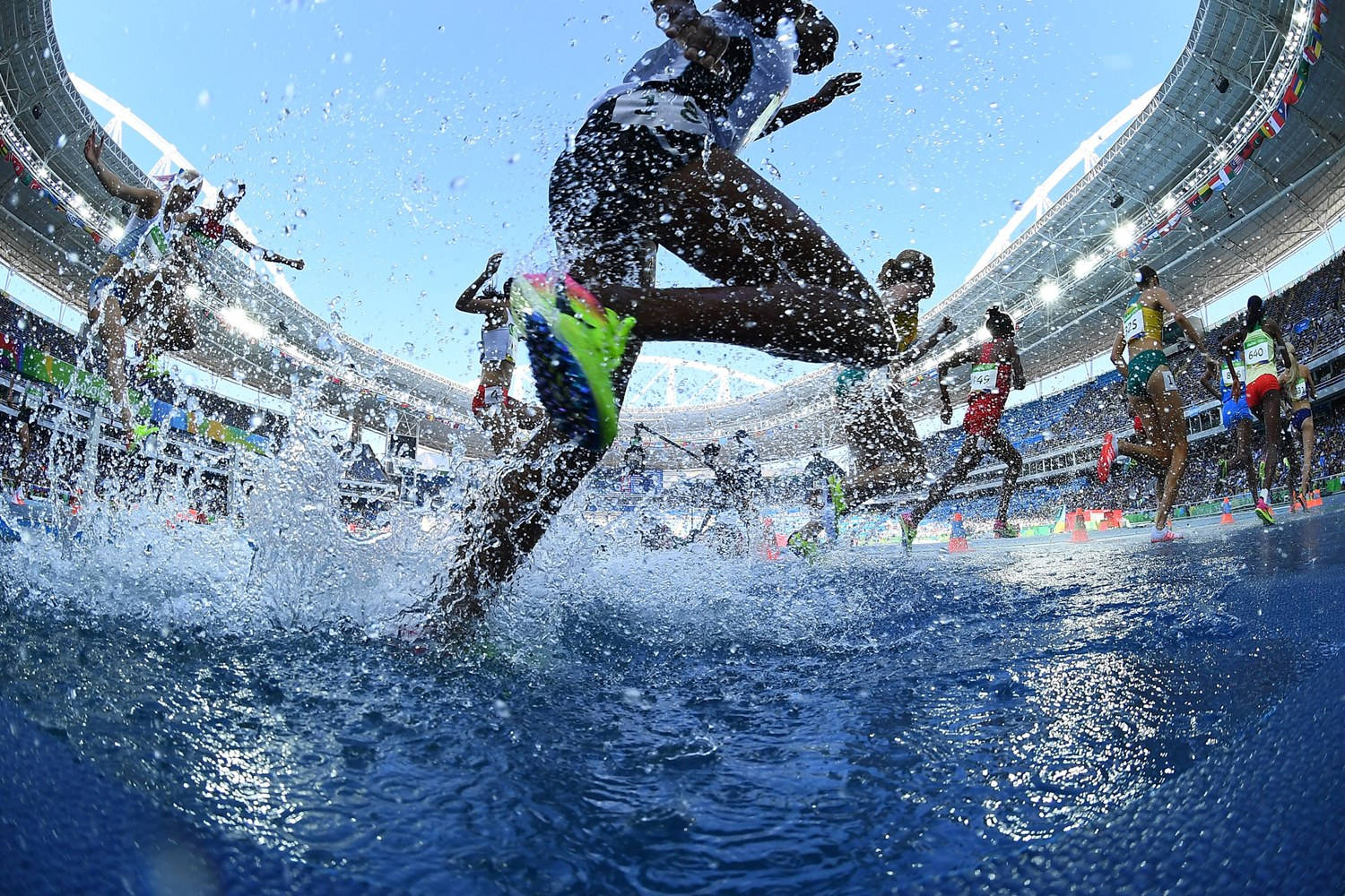 Carrerascon Obstáculos, Deporte Olímpico Fondo de pantalla