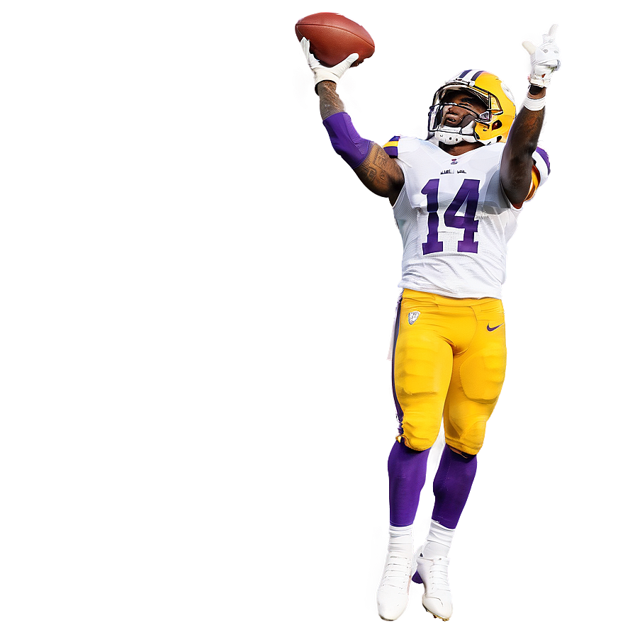 Stefon Diggs Game-winning Catch Png 14 PNG