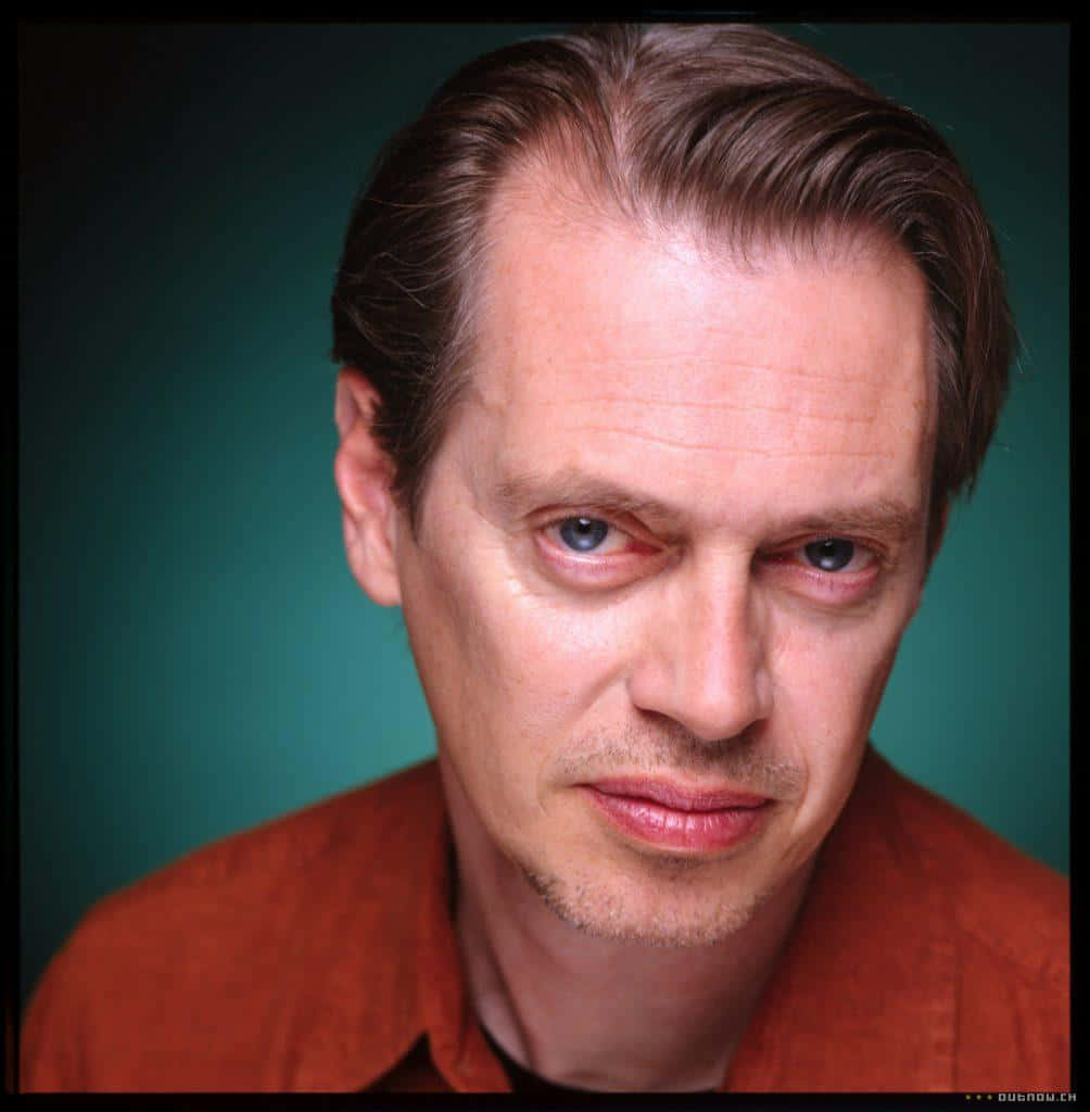 Hollywood Actor Steve Buscemi Stare Wallpaper