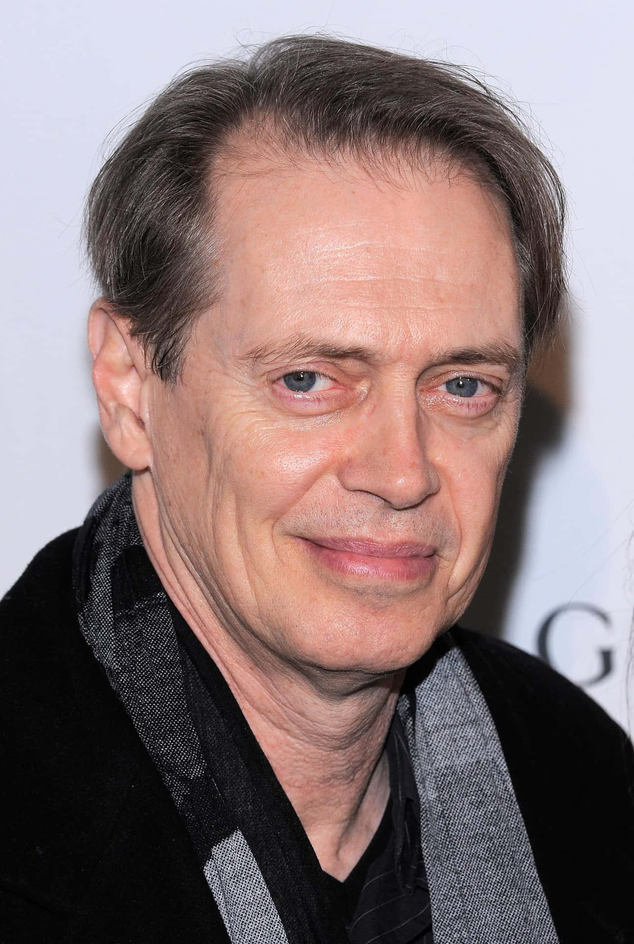 Download A Timeless Portrait of Legendary Actor Steve Buscemi Wallpaper ...