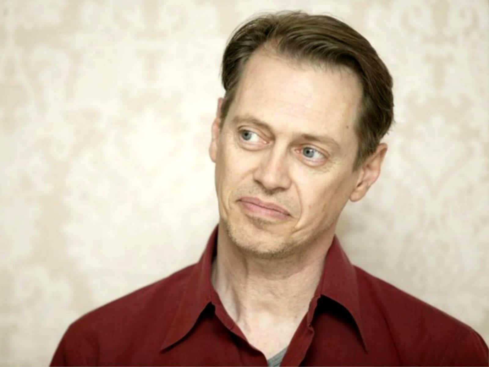 Veteran Hollywood star Steve Buscemi in a thoughtful pose. Wallpaper