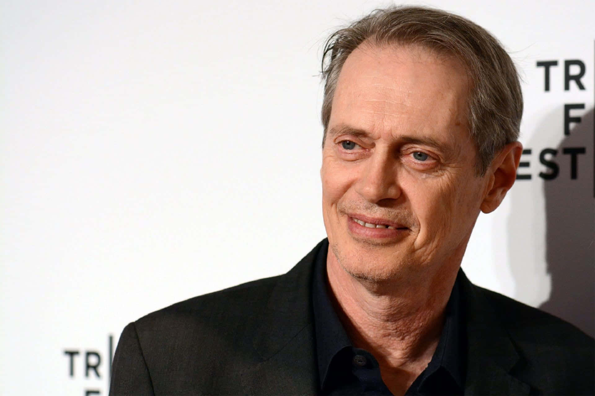 Portrait of the talented Hollywood actor, Steve Buscemi Wallpaper