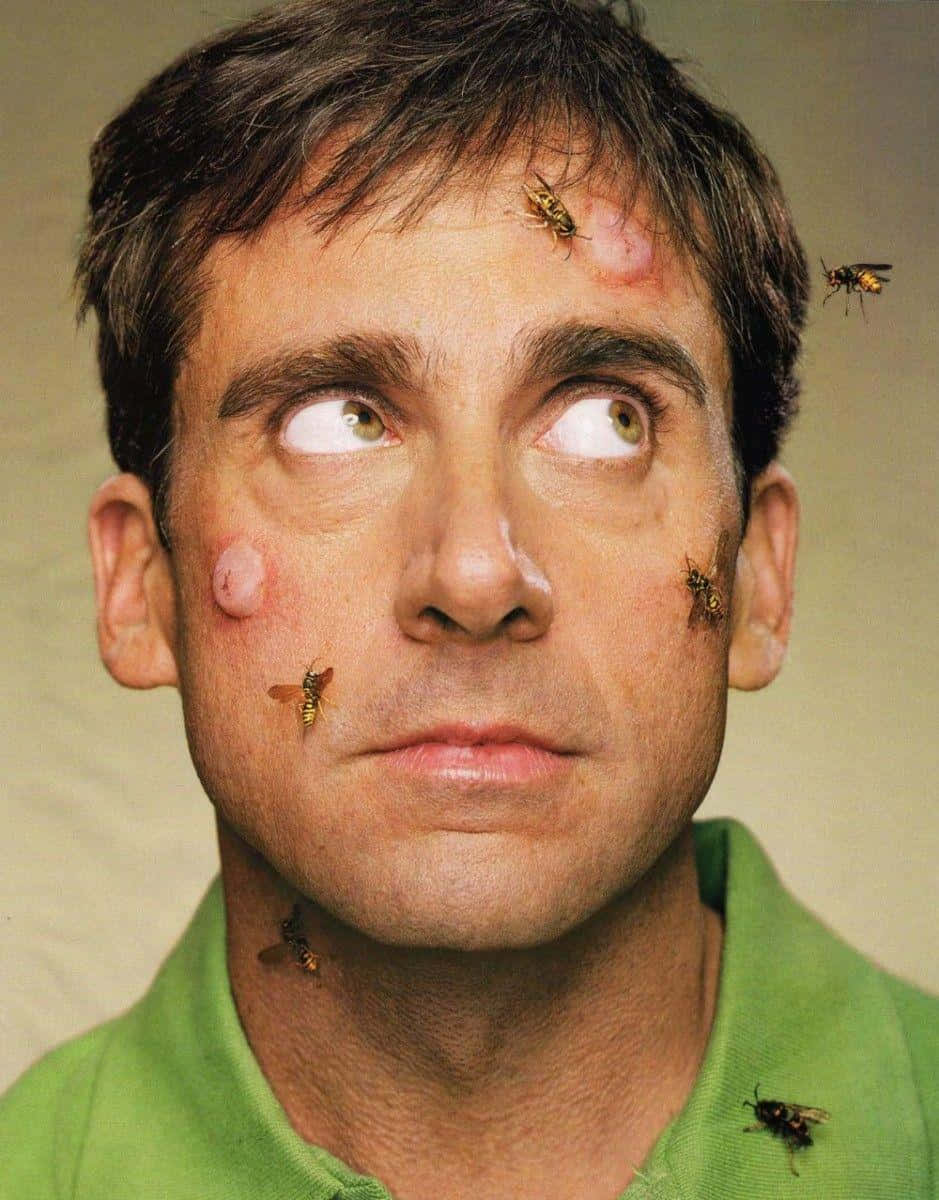 actor Steve Carell smiles in a photoshoot Wallpaper