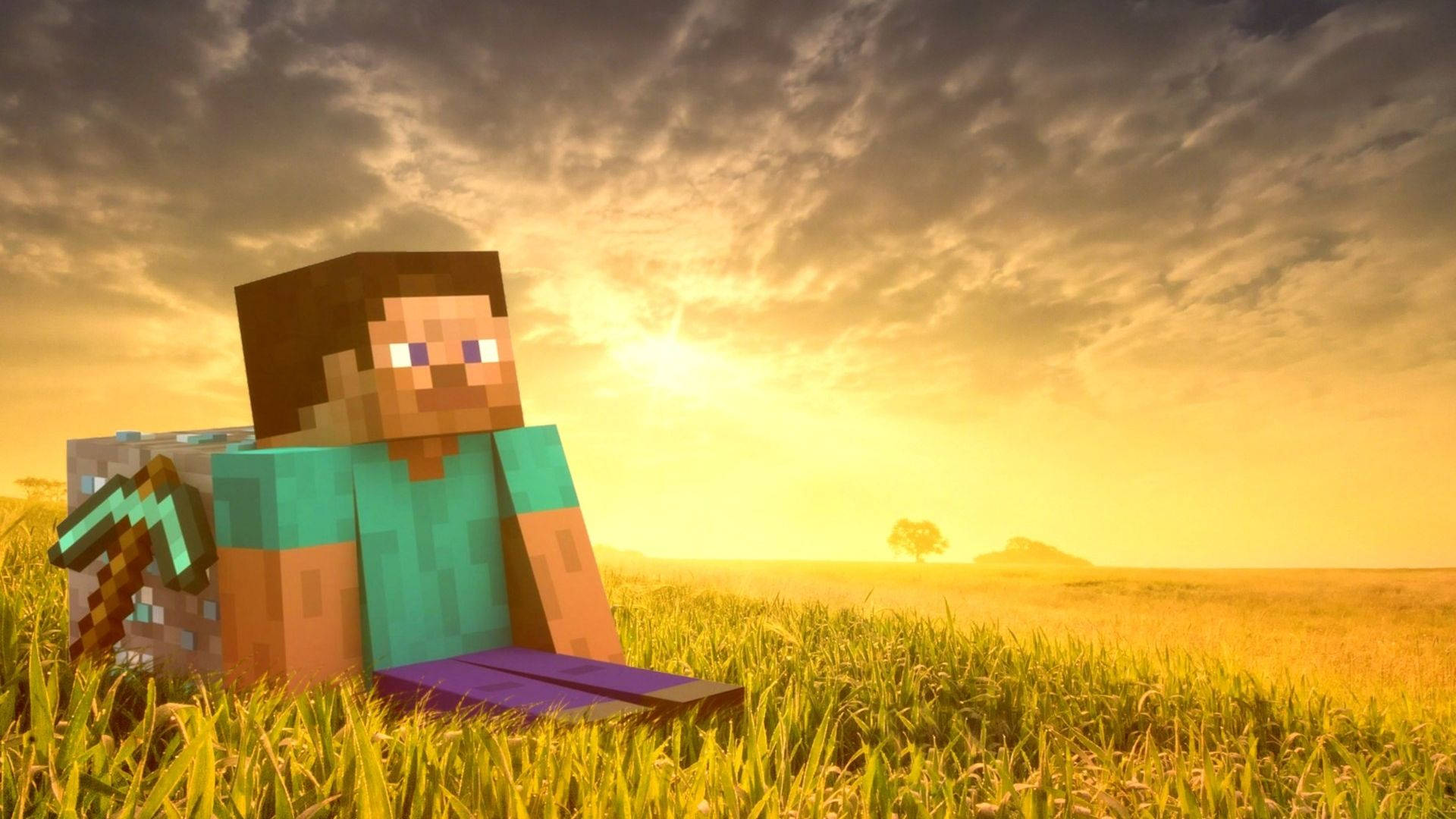 Steve On Grass And Diamond Minecraft Hd Background