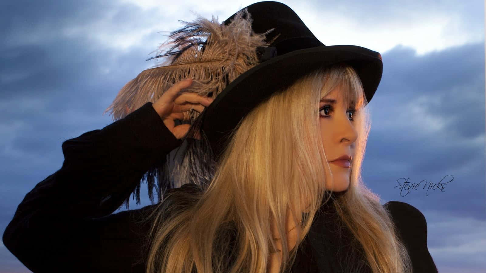 Stevie Nicks Wallpaper