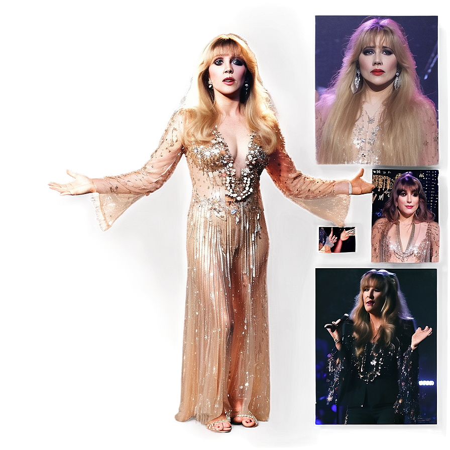 Stevie Nicks In Sequins Png Kdg PNG