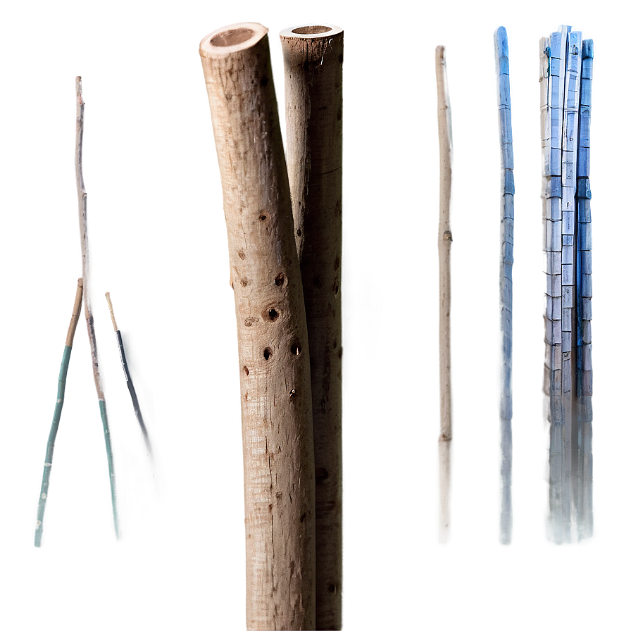Sticks C PNG