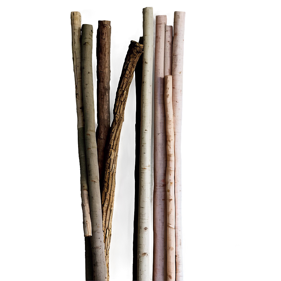 Sticks In Bundle Png 06132024 PNG