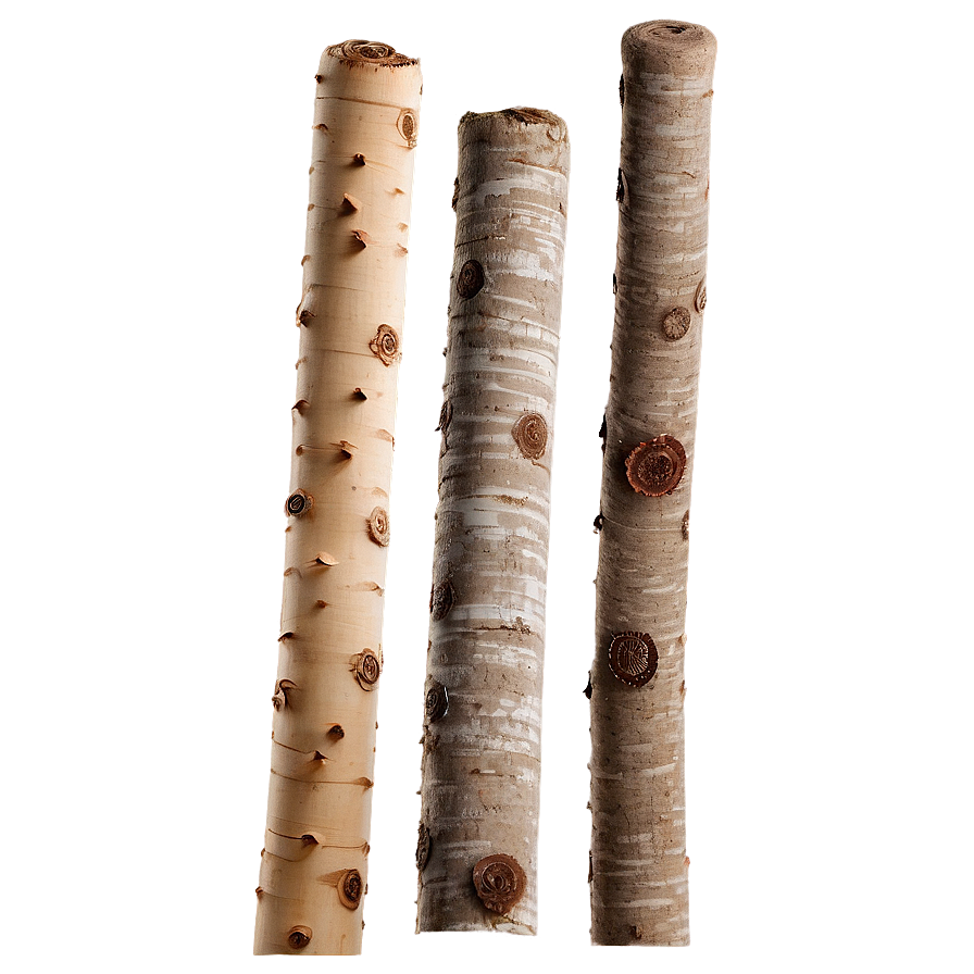 Sticks In Nature Png 06132024 PNG