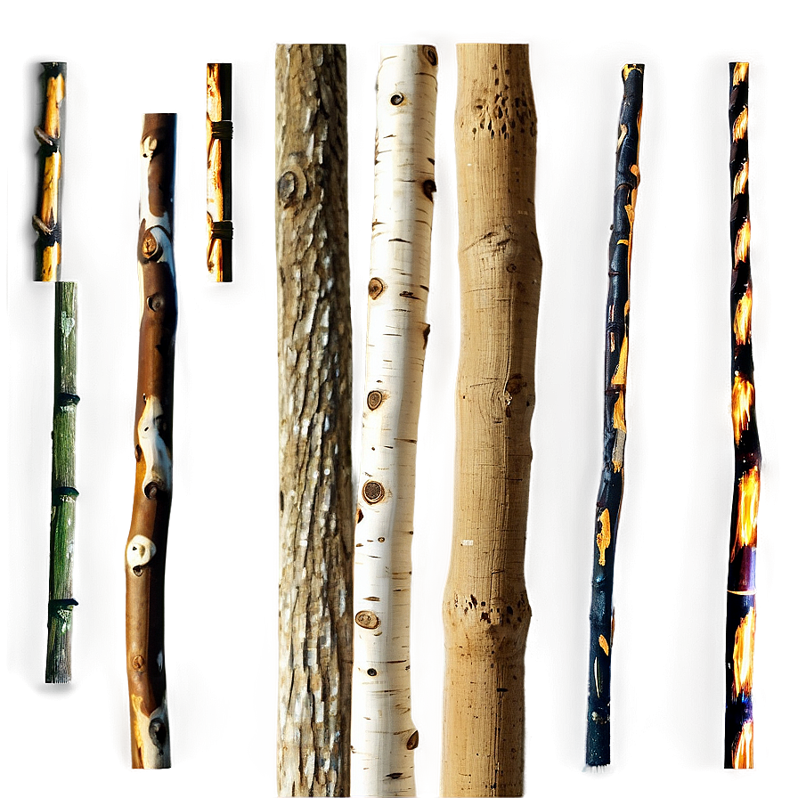 Sticks Texture Png 06132024 PNG