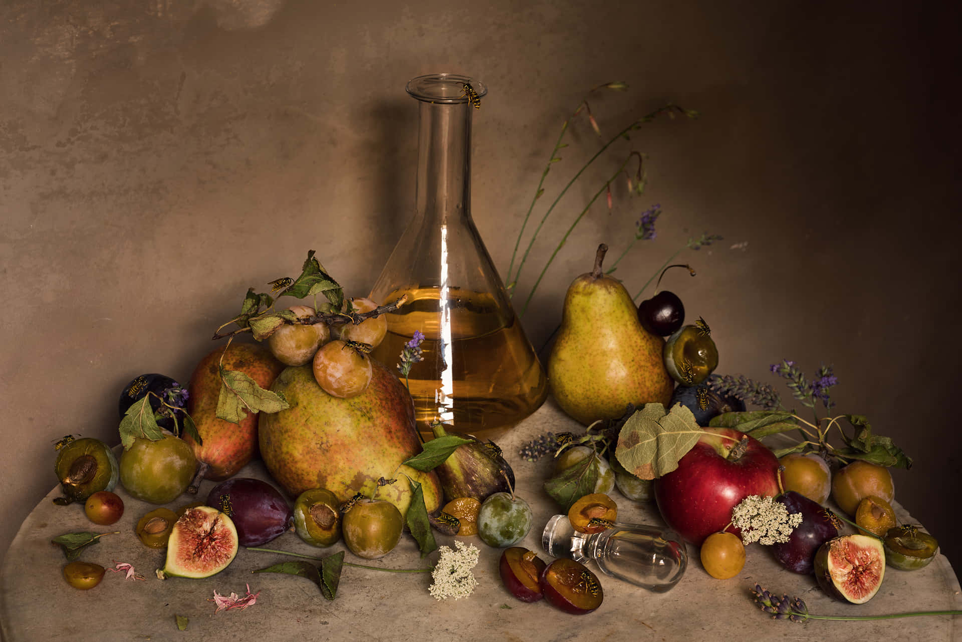Still Life Pictures 2000 X 1334 Picture