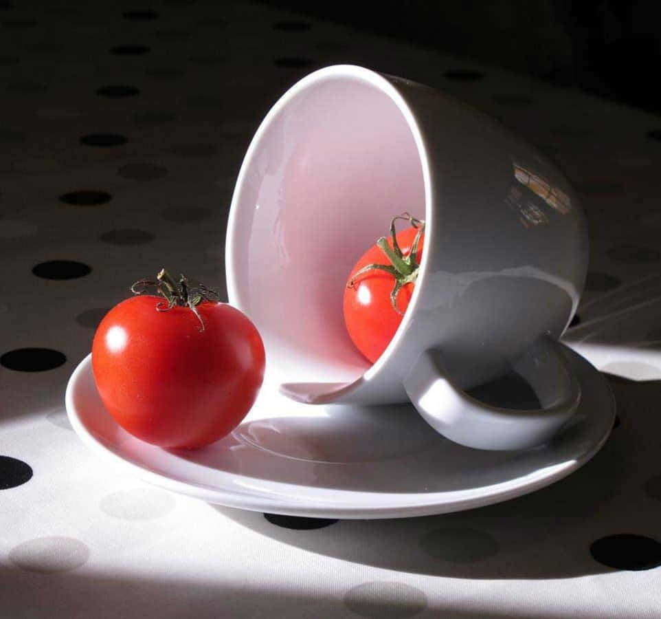 Tomatenstillleben Bild