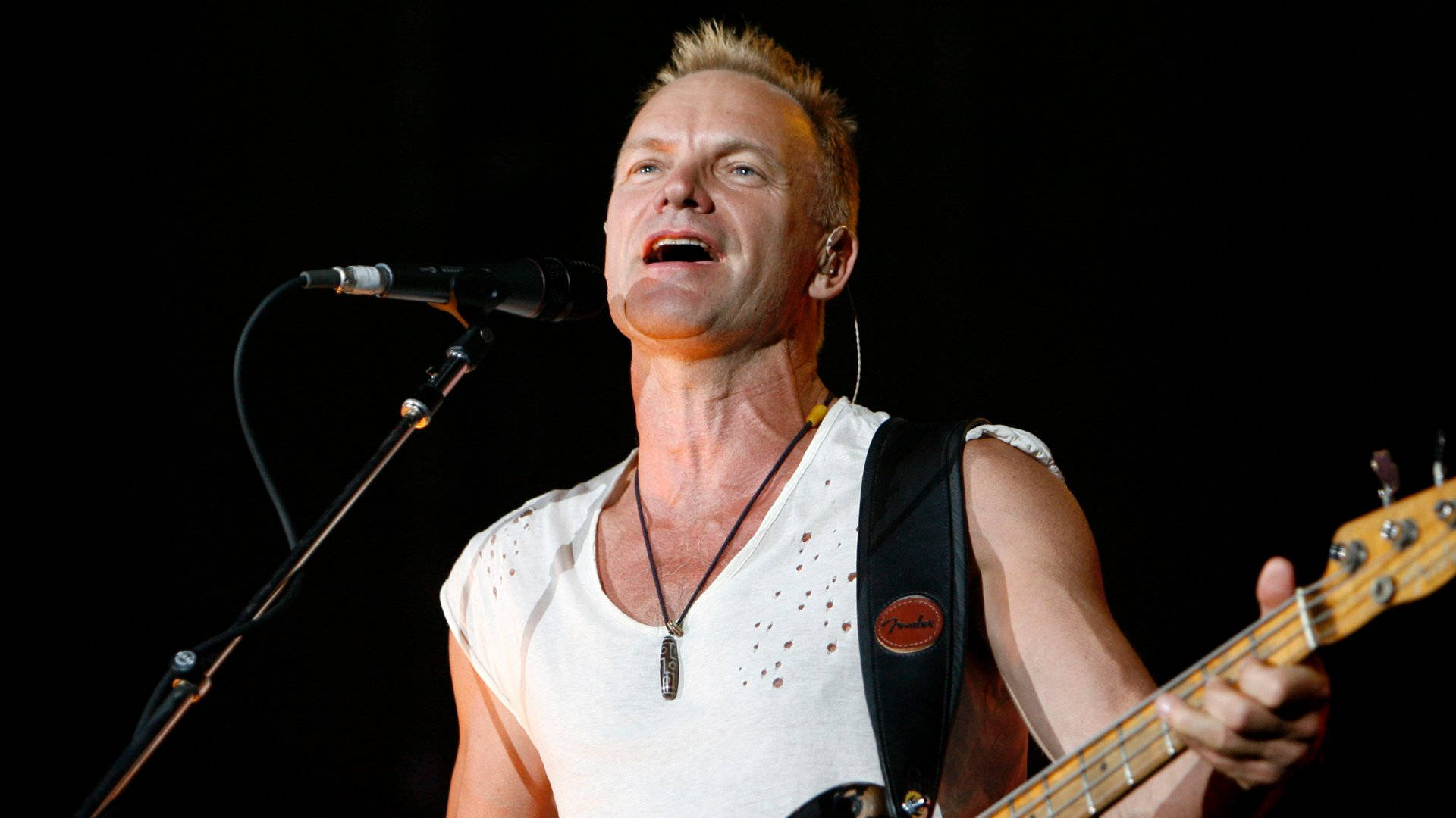 Iconic Musician - Sting in Concert Wallpaper