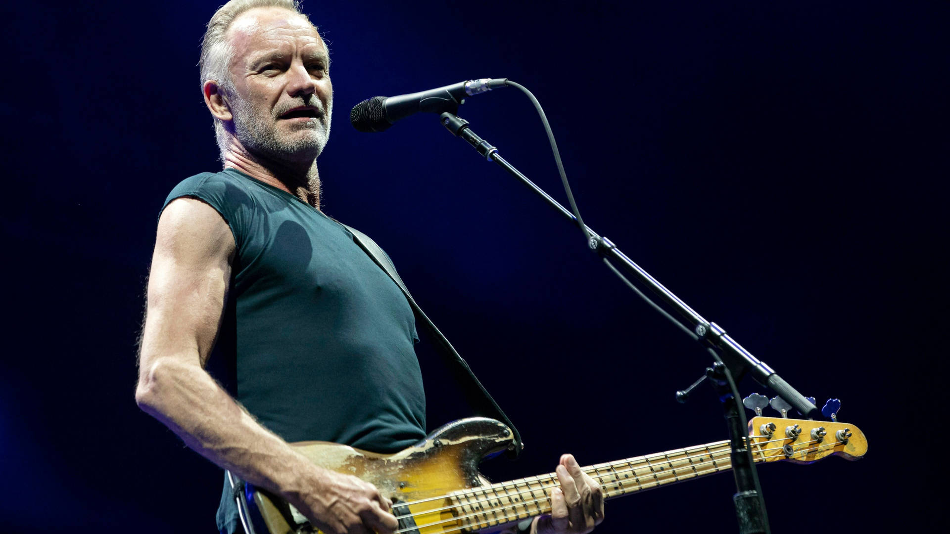 Sting Performing On Stage Wallpaper