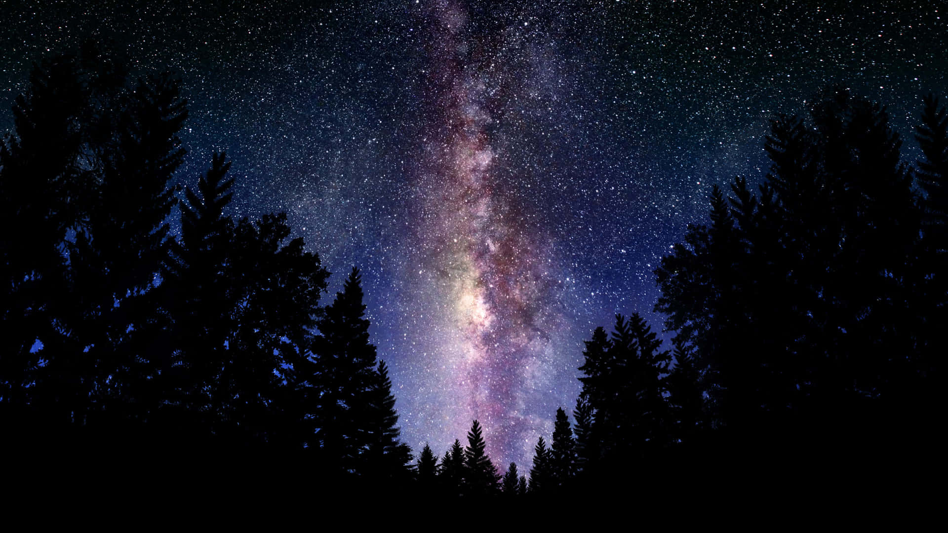 Stjernebilleder skinner i nattehimlen