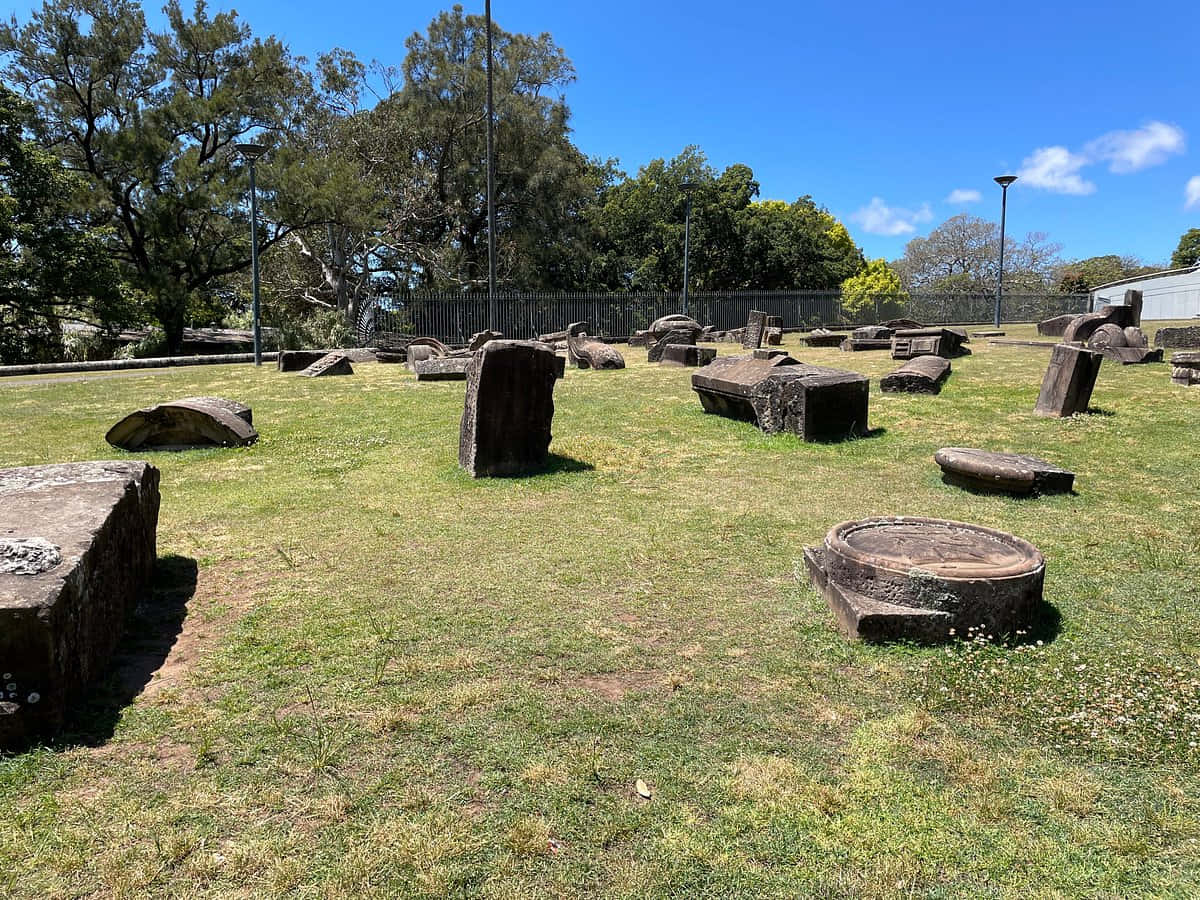 Stone Arrangement Royal Botanic Garden Sydney Wallpaper