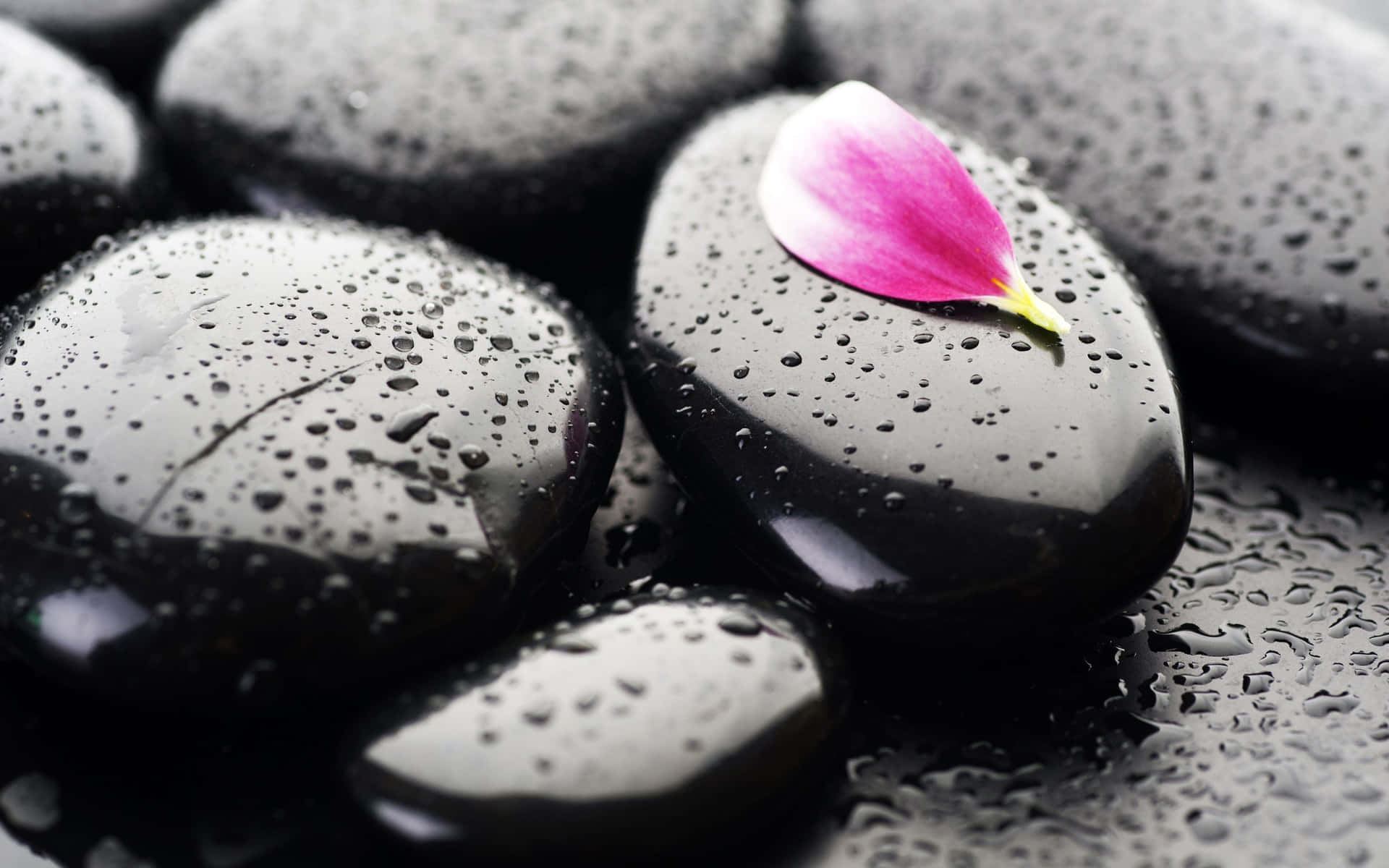 Black Stones With A Pink Flower On Them Wallpaper