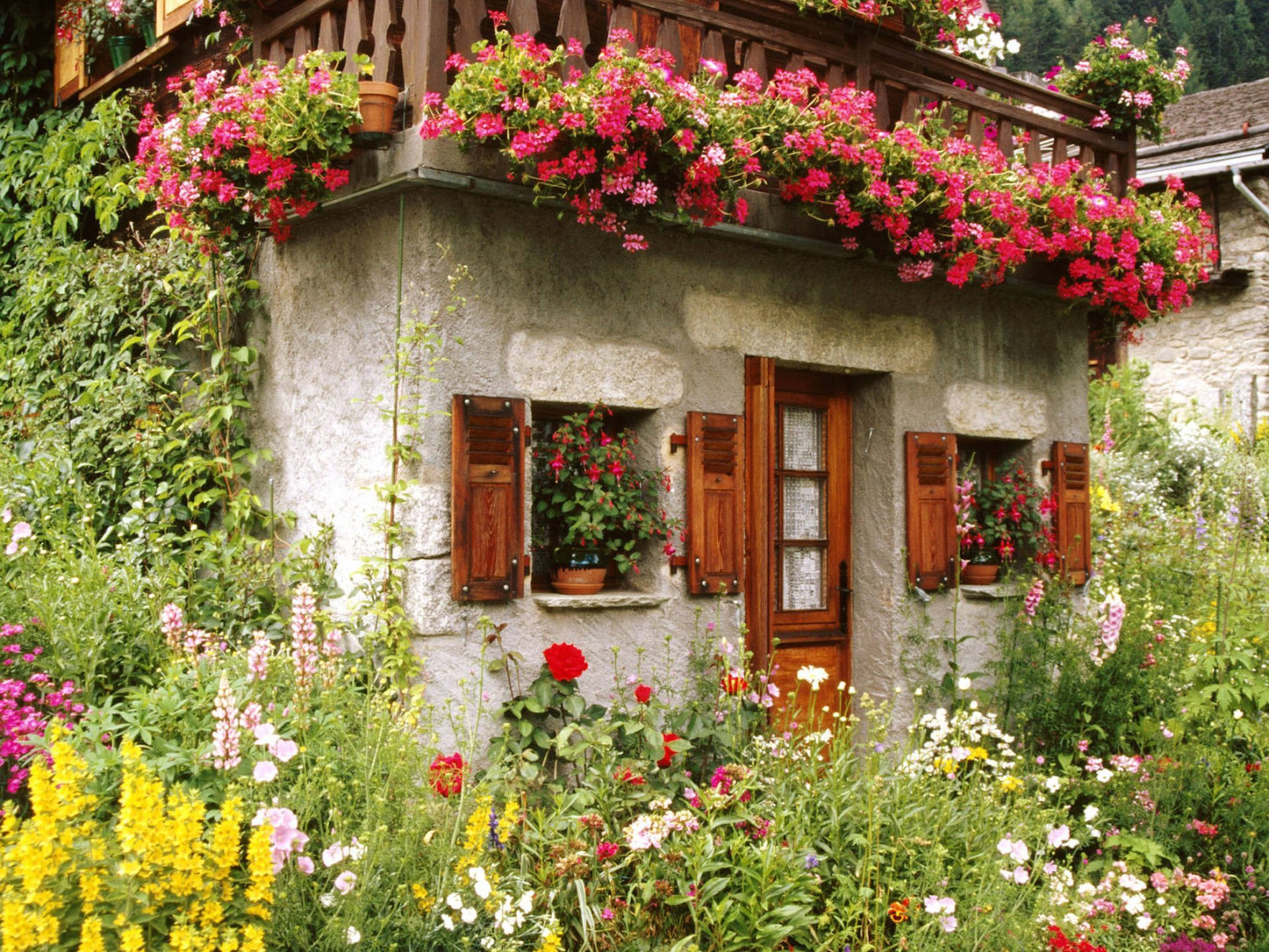 Flowers Of Cottage Garden Cottagecore HD wallpaper  Peakpx