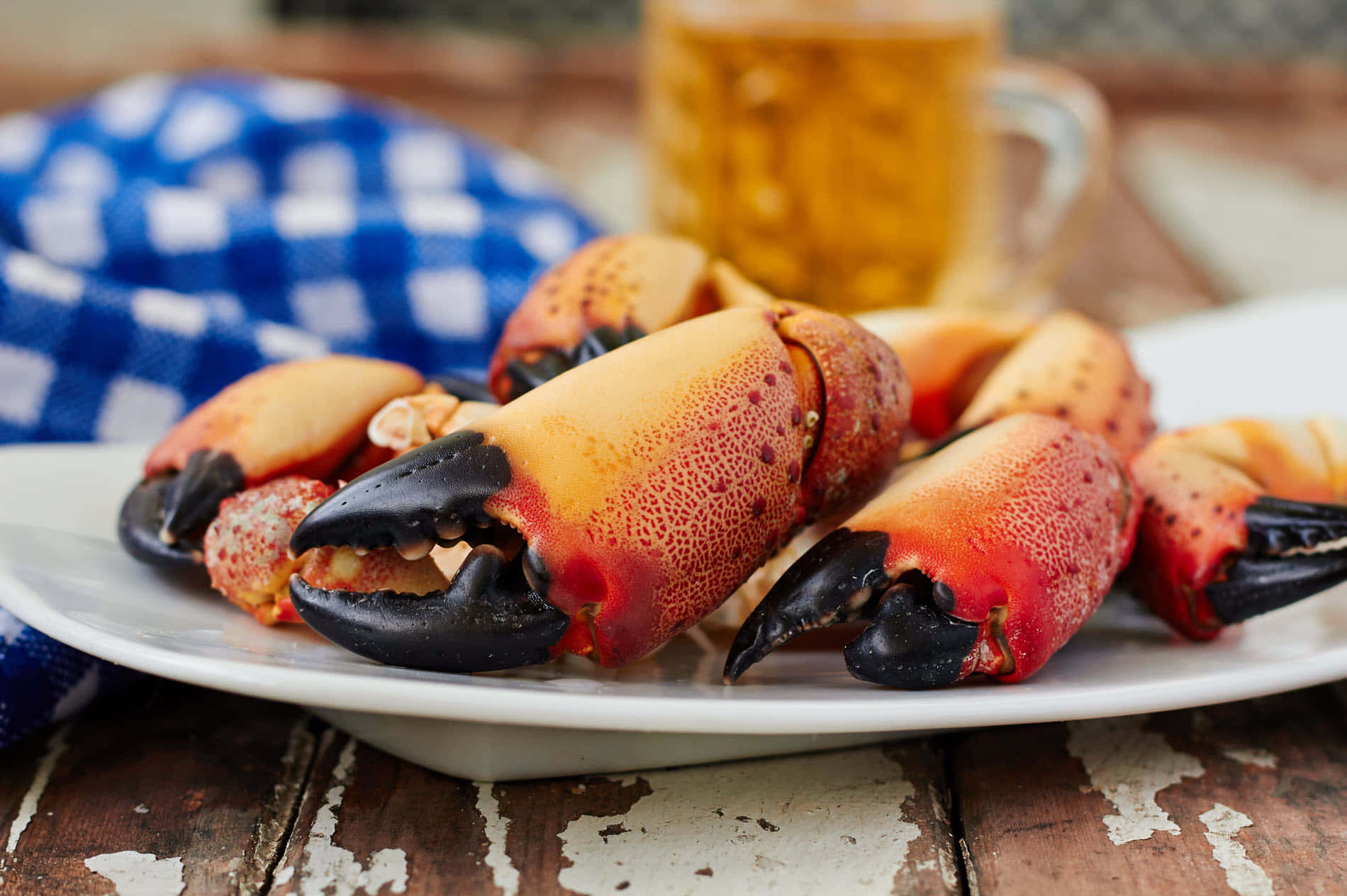 Stone Crab Claws Plated With Beer Wallpaper