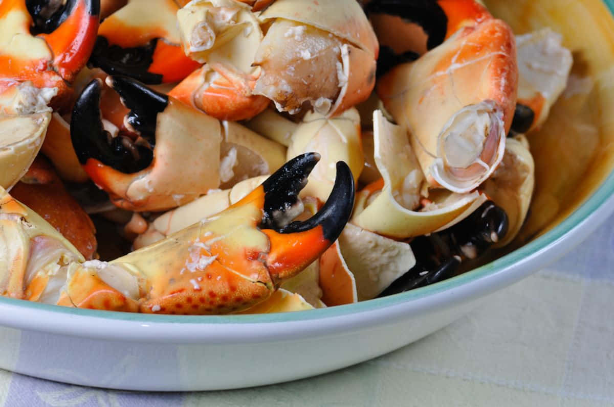 Stone Crab Claws Served Wallpaper