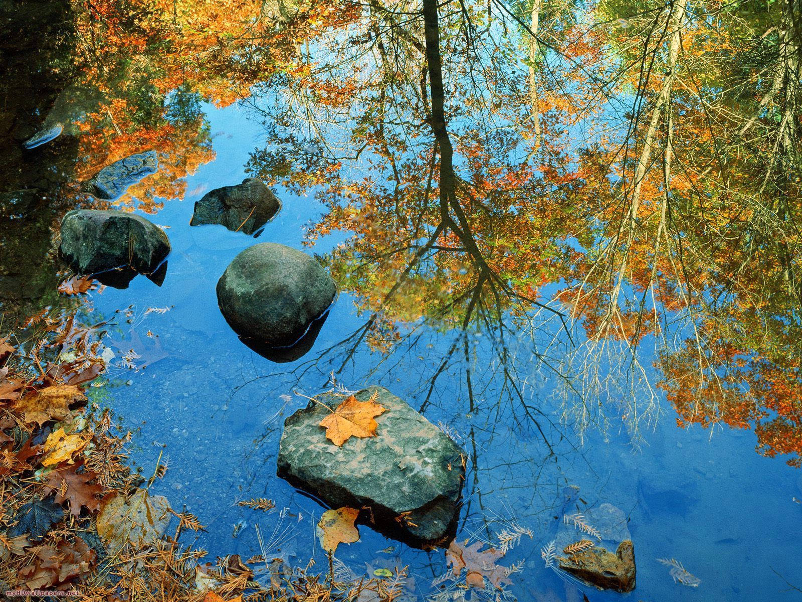 Take a moment to appreciate nature - A peaceful view of a stone on a river. Wallpaper