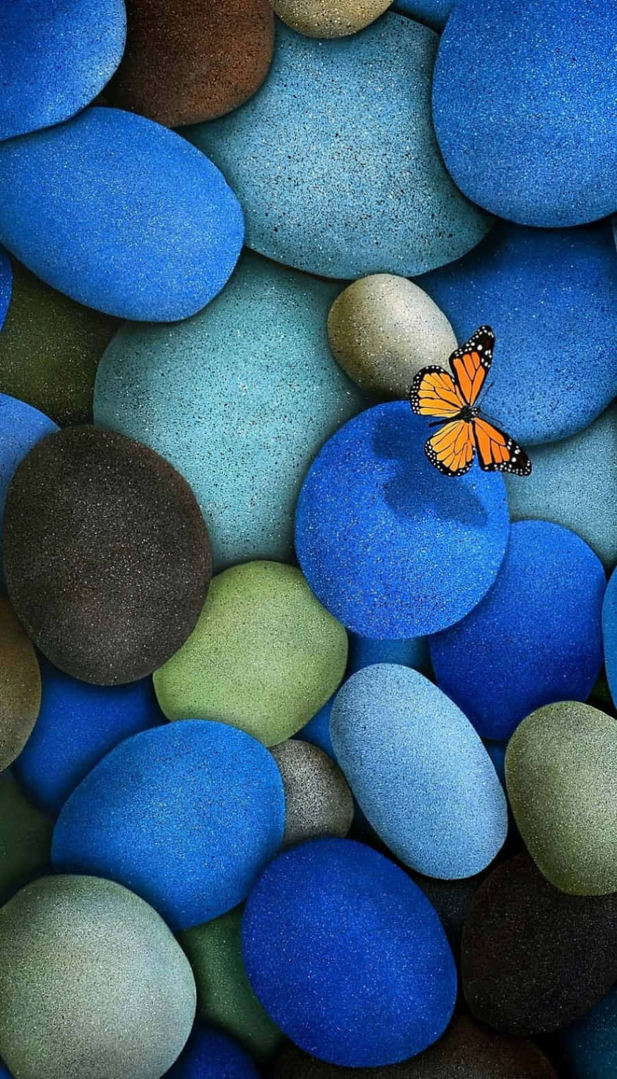Unafarfalla È Seduta Su Un Ciottolo Blu