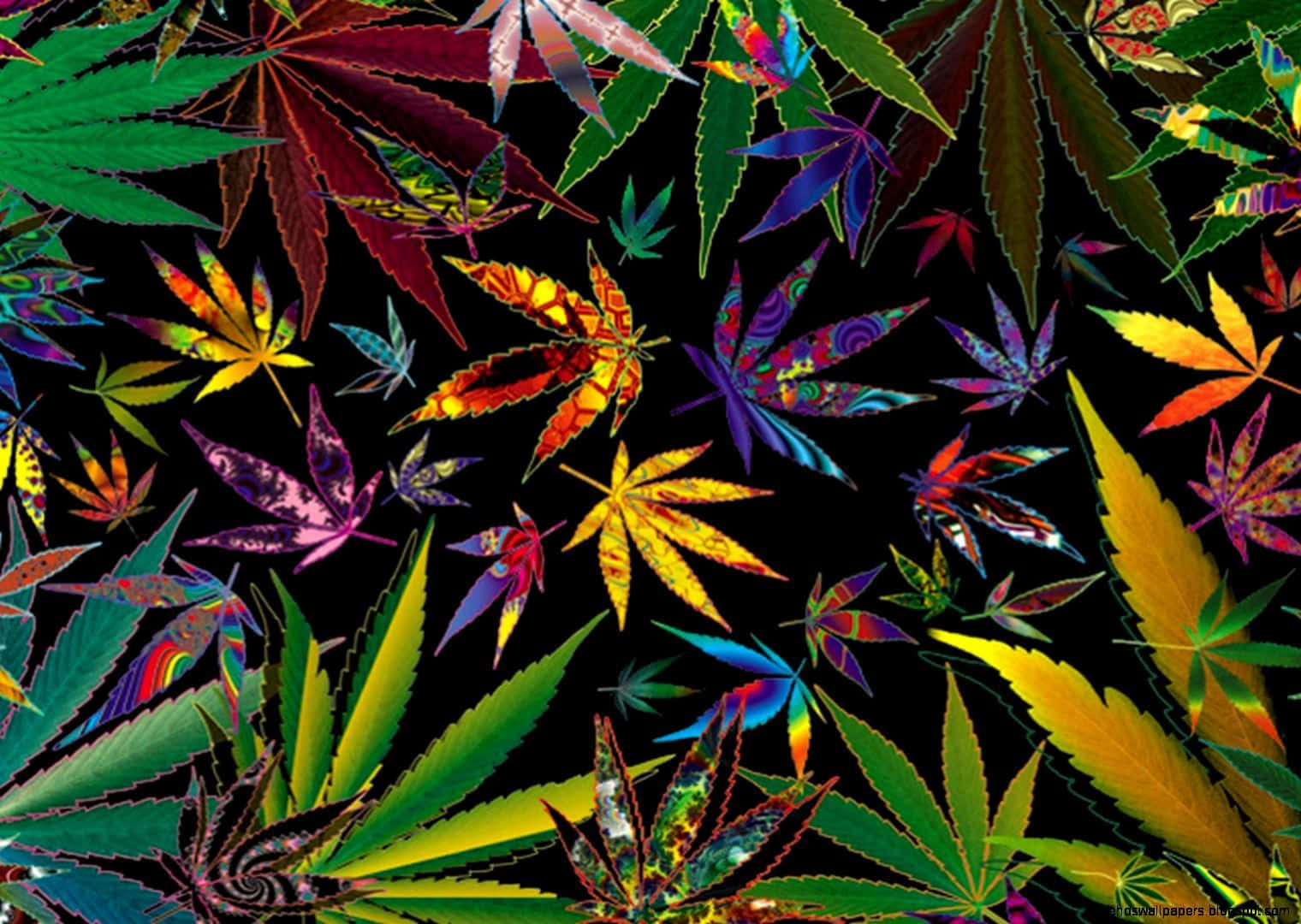 Stop looking, we've already got the perfect phone for all the stoners out there: The Stoner Iphone. Wallpaper