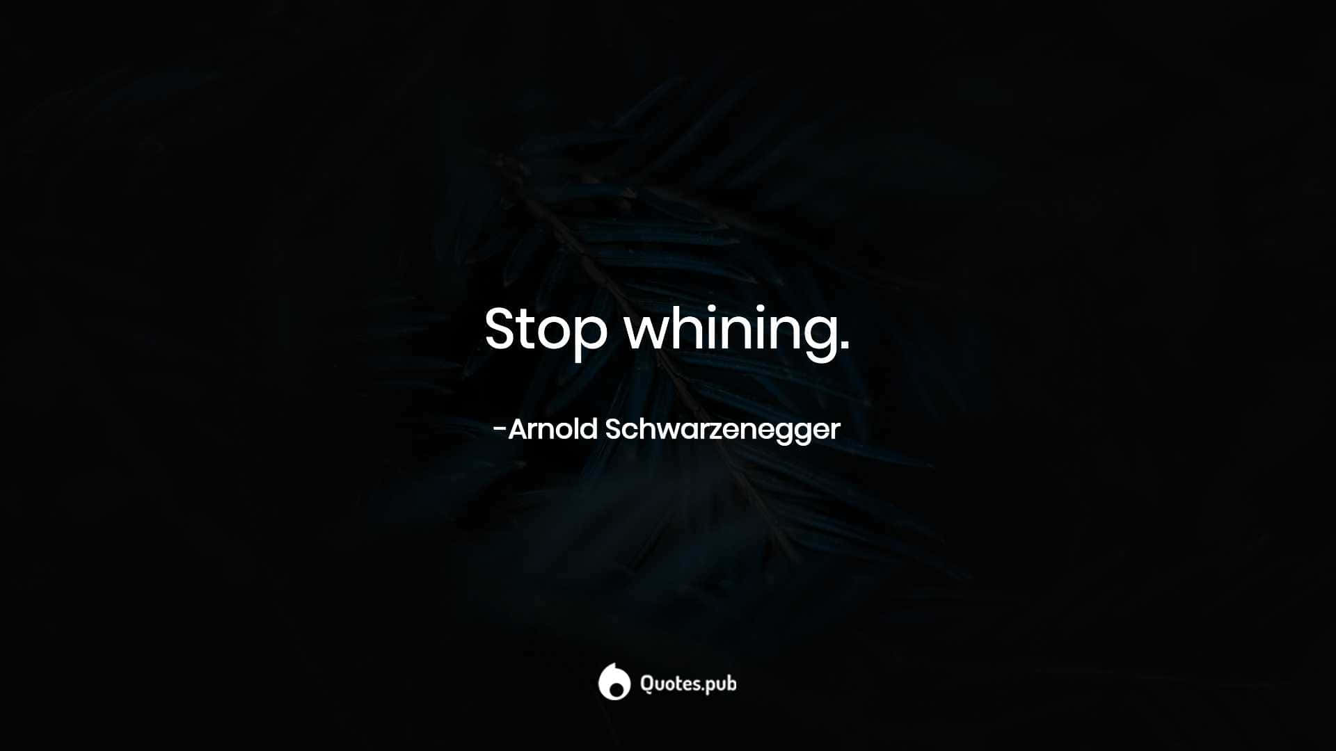 Stop Whining Quote Arnold Schwarzenegger Wallpaper